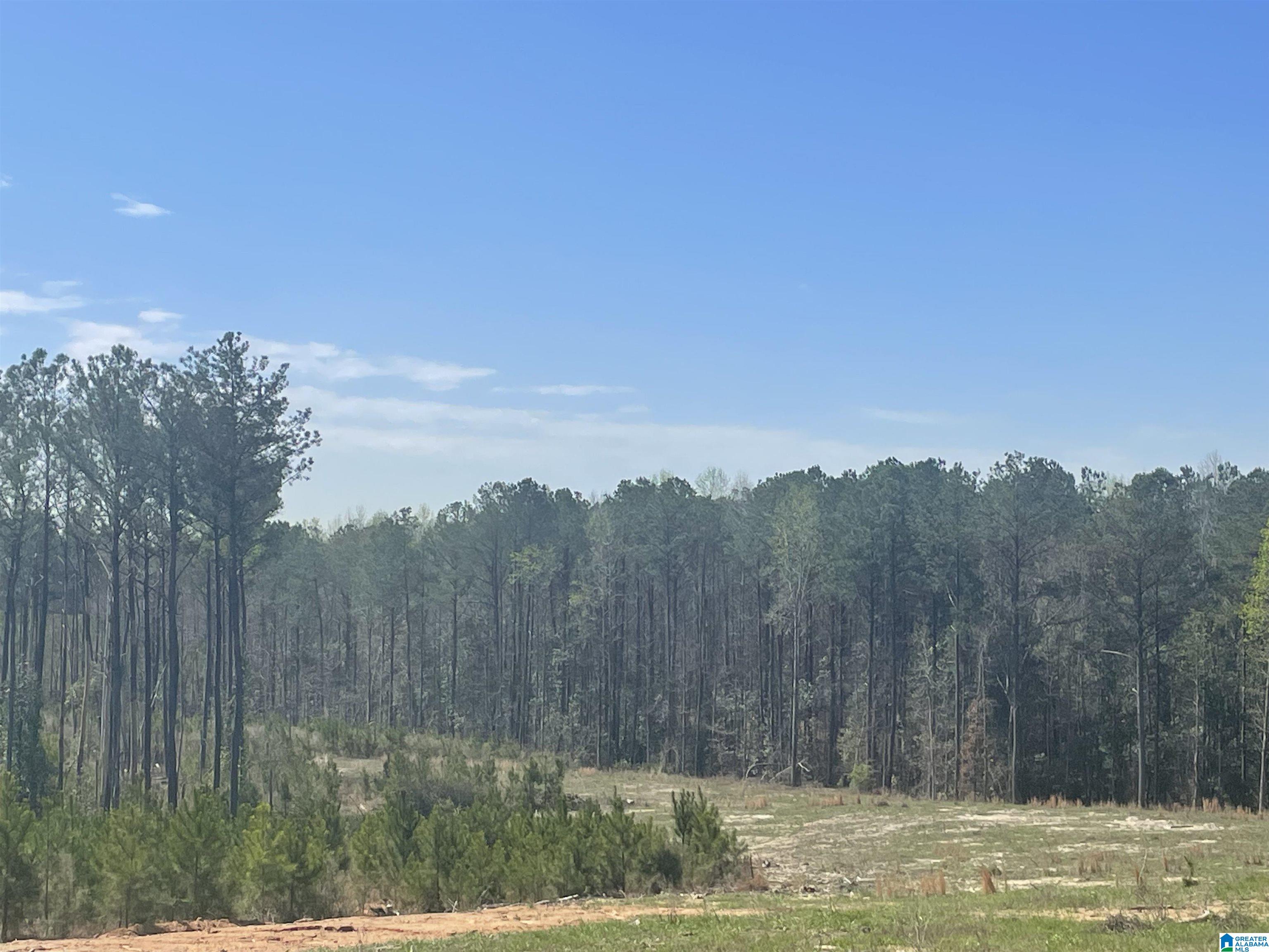 Homes for sale in West Blocton, AL | 003 Truman Aldrich Parkway, West Blocton, AL 35184 | MLS# 21407945