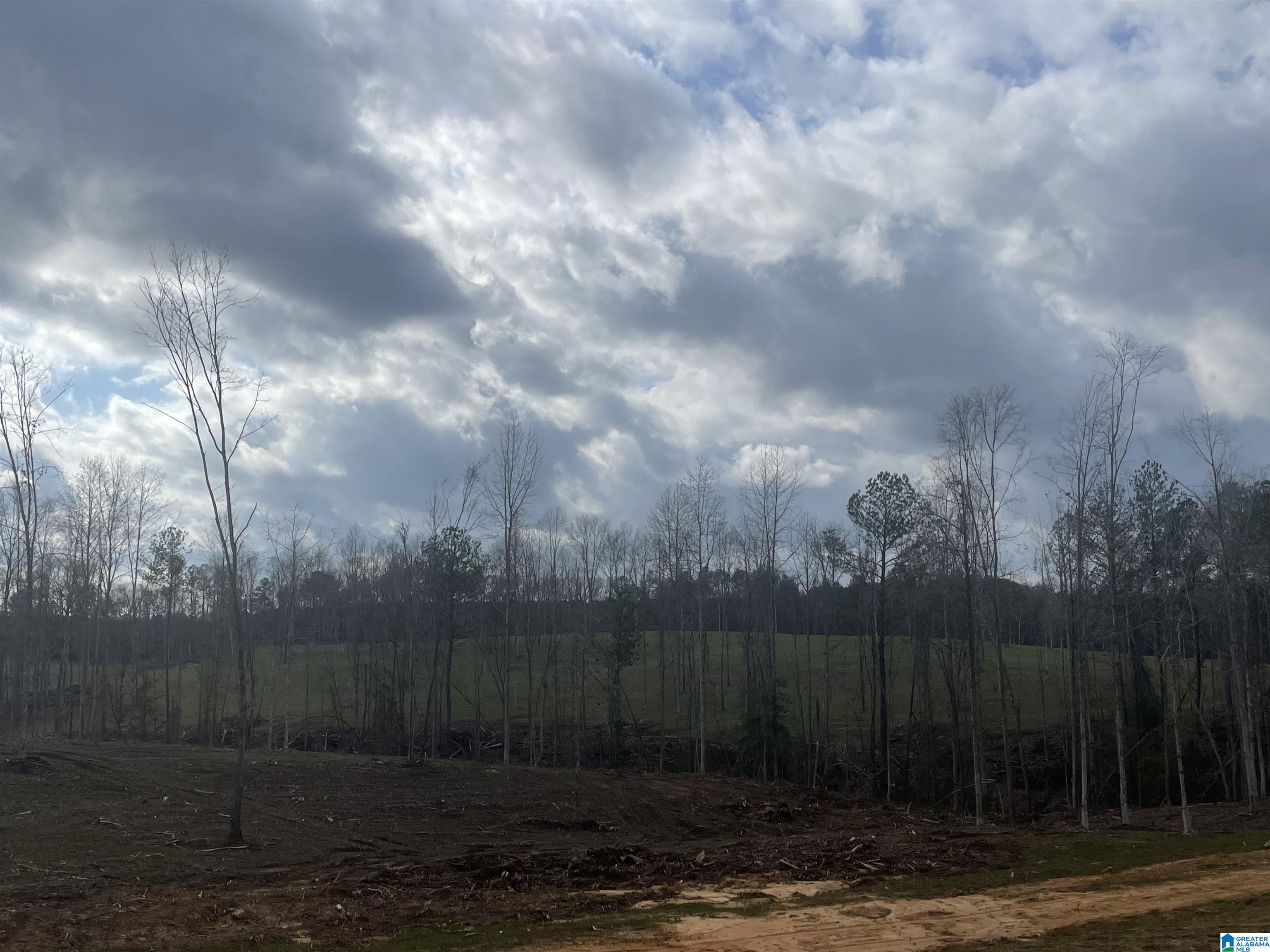 Homes for sale in West Blocton, AL | 003 Truman Aldrich Parkway, West Blocton, AL 35184 | MLS# 21407945