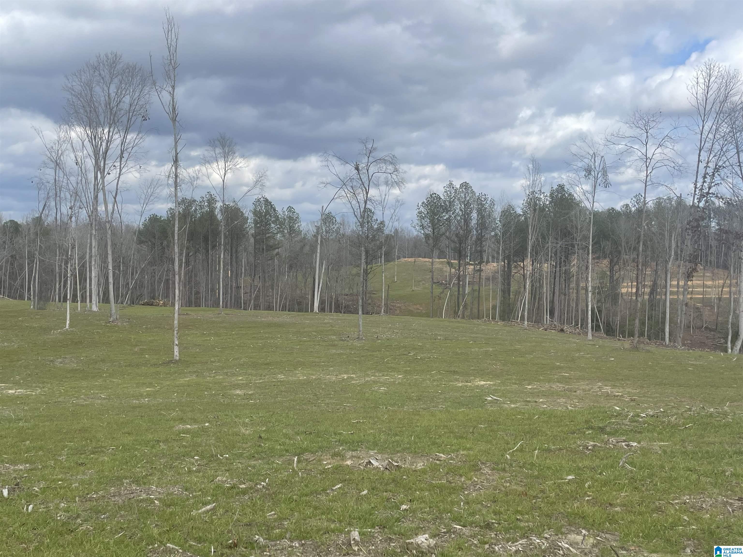 Homes for sale in West Blocton, AL | 003 Truman Aldrich Parkway, West Blocton, AL 35184 | MLS# 21407945