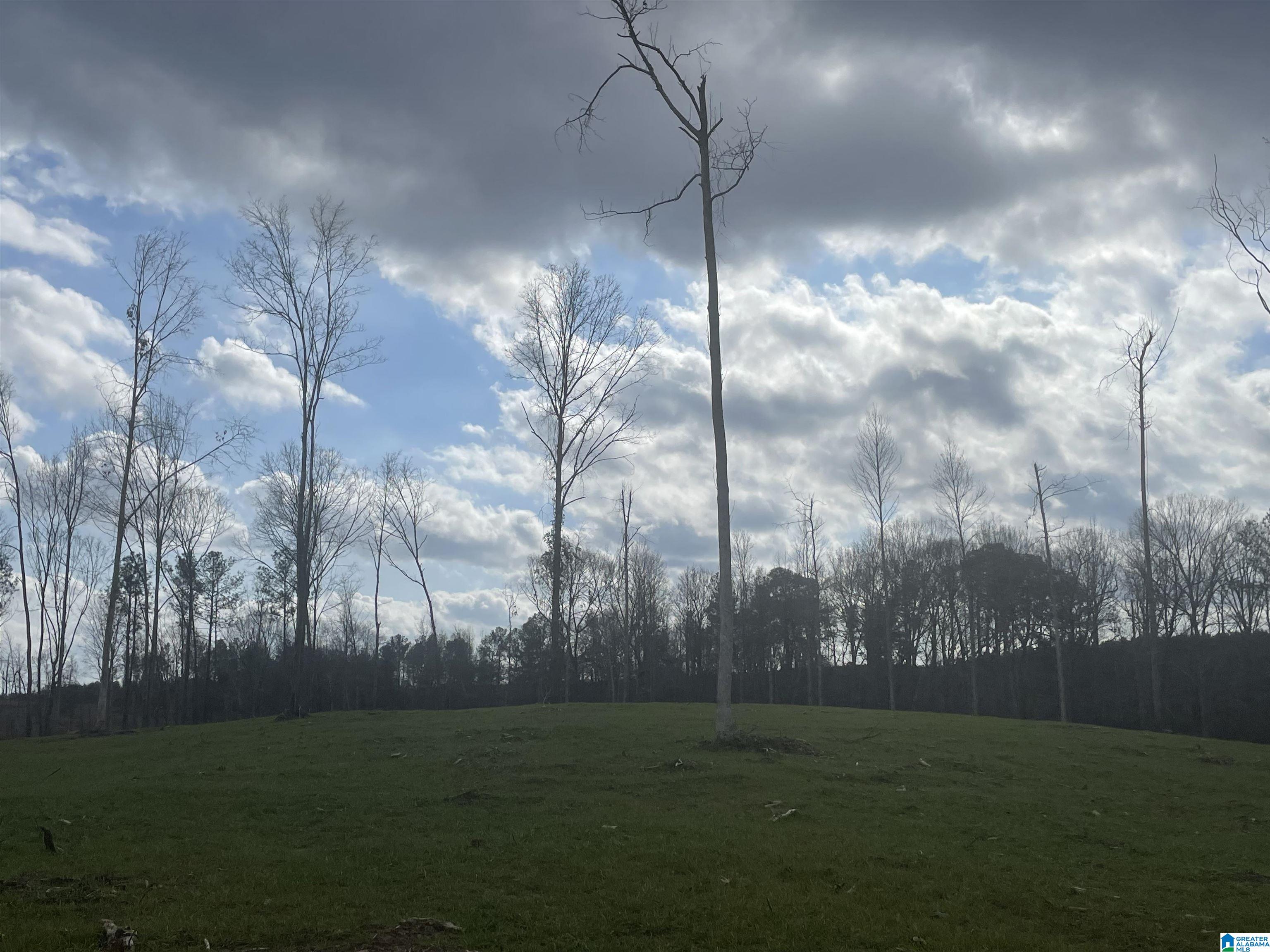 Homes for sale in West Blocton, AL | 003 Truman Aldrich Parkway, West Blocton, AL 35184 | MLS# 21407945