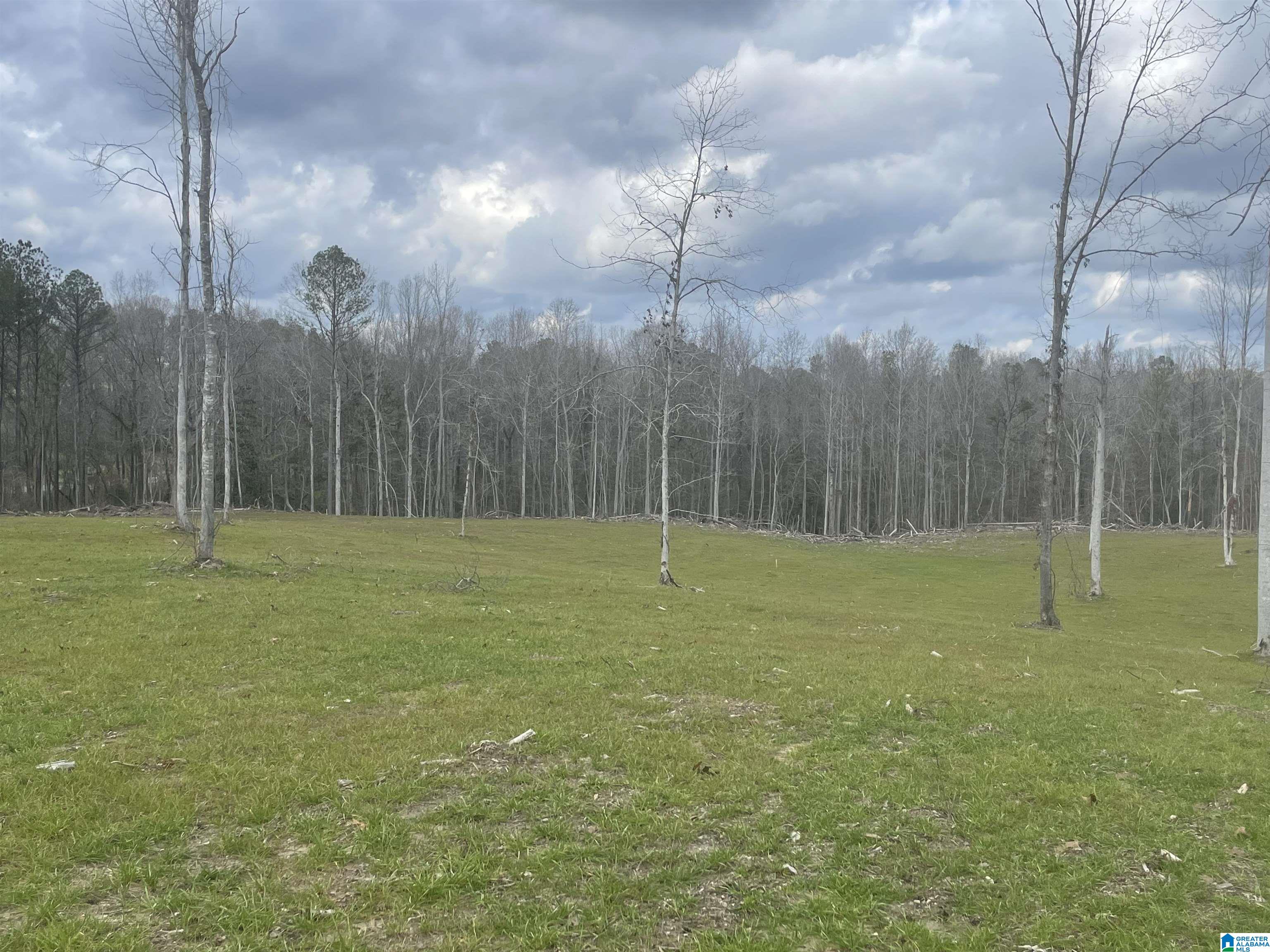 Homes for sale in West Blocton, AL | 0004 Truman Aldrich Parkway, West Blocton, AL 35184 | MLS# 21407948