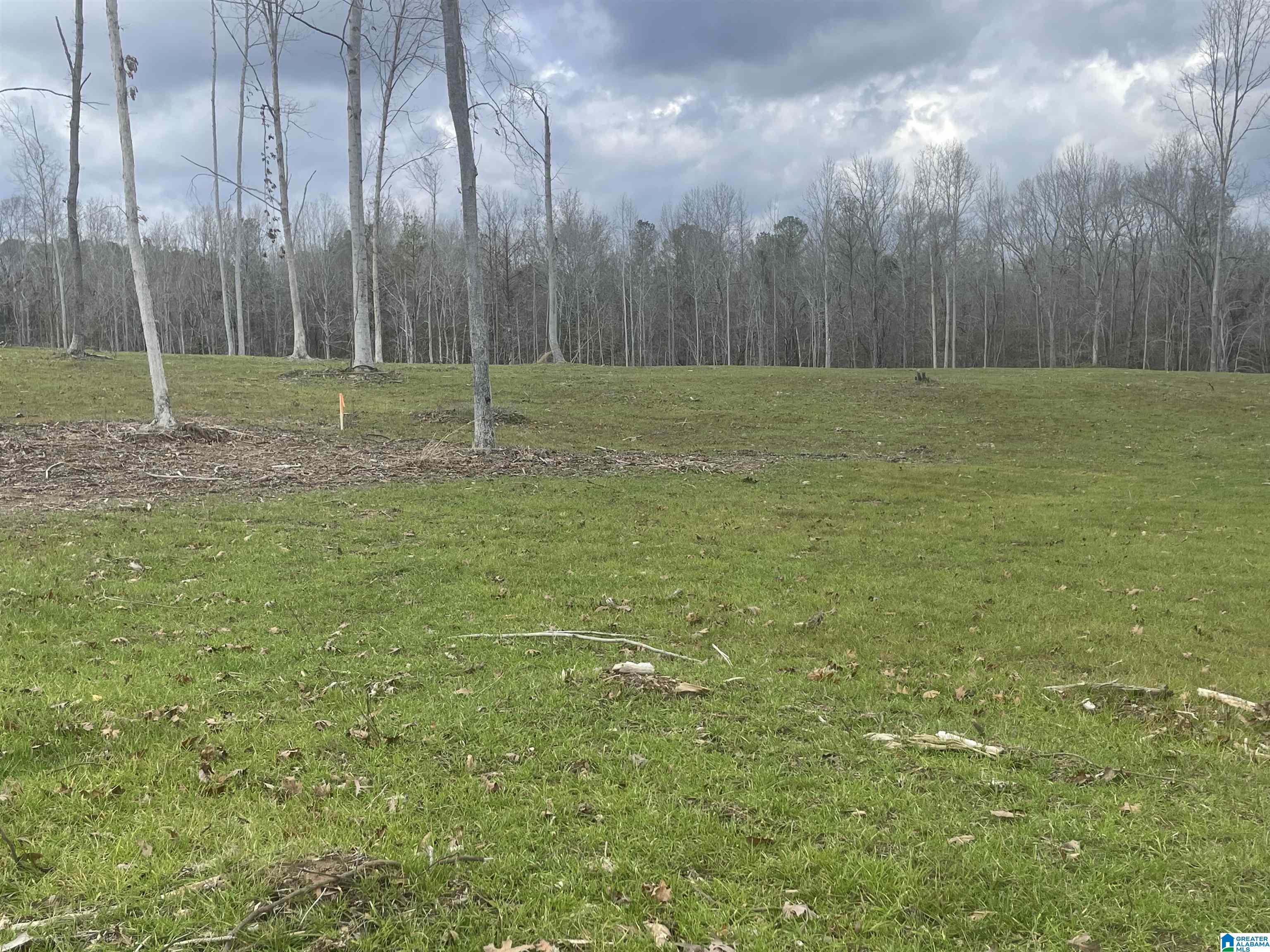 Homes for sale in West Blocton, AL | 0004 Truman Aldrich Parkway, West Blocton, AL 35184 | MLS# 21407948