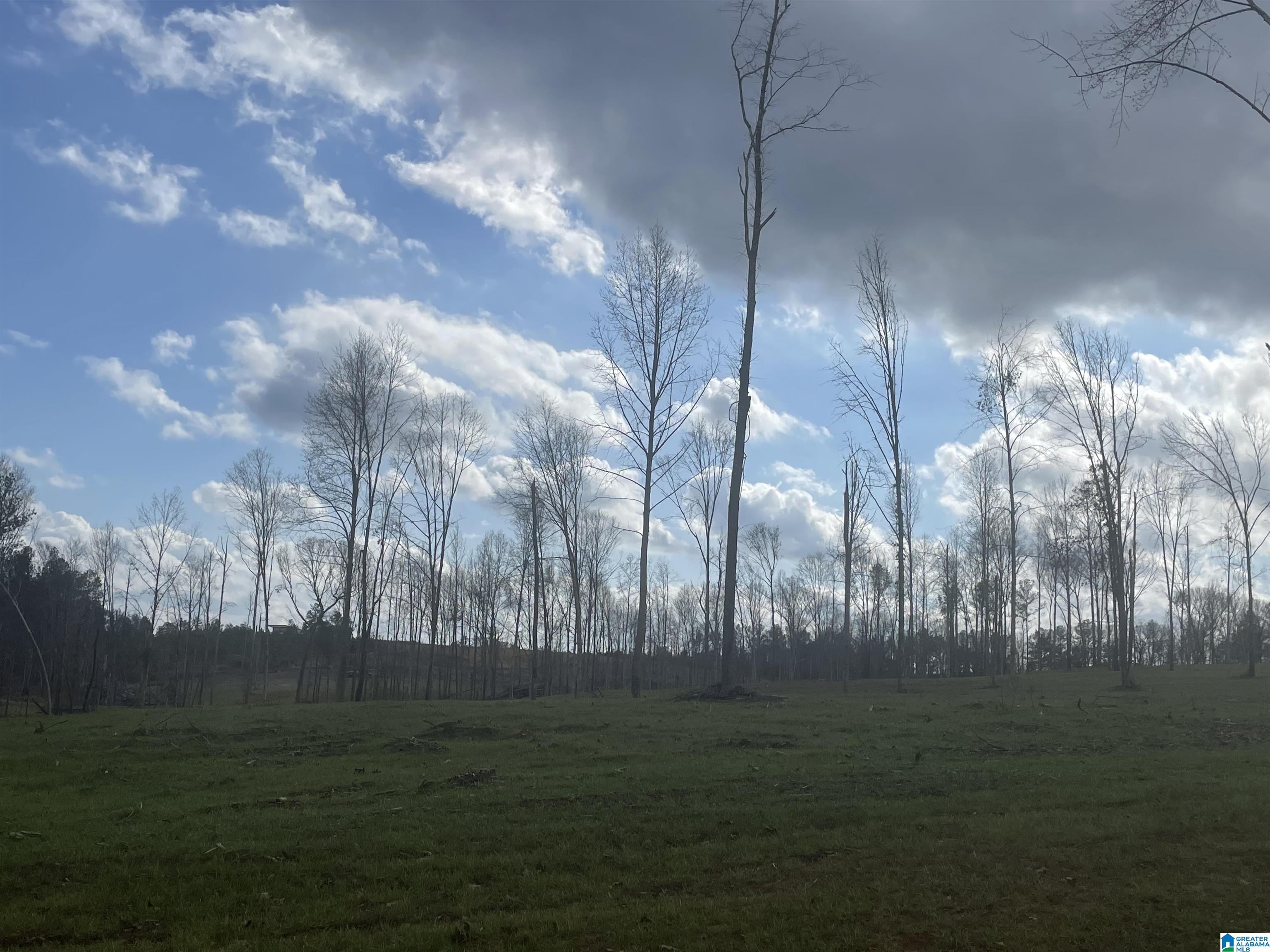 Homes for sale in West Blocton, AL | 0004 Truman Aldrich Parkway, West Blocton, AL 35184 | MLS# 21407948