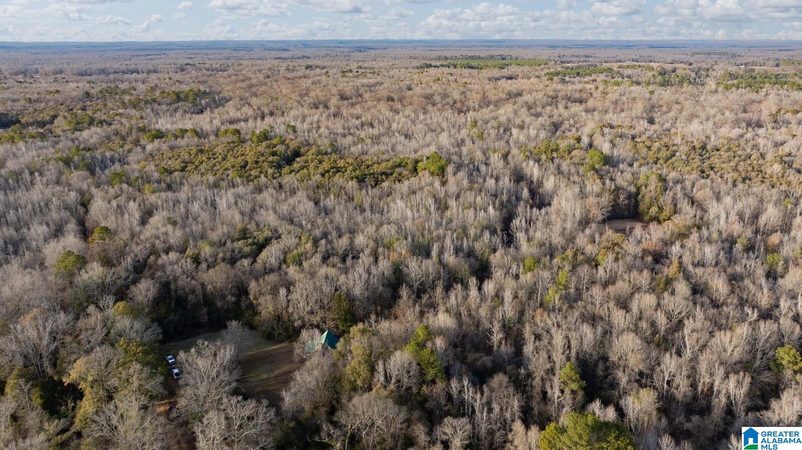 Homes for sale in Akron, AL | 00 Brush Creek Dr, Akron, AL 35441 | MLS# 21408076