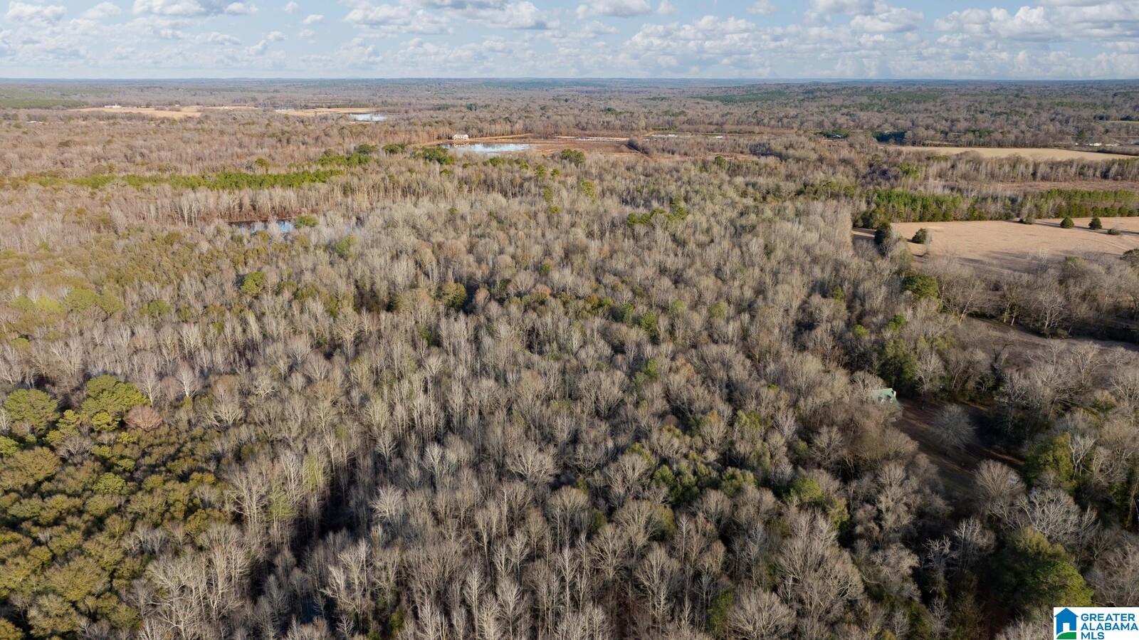 Homes for sale in Akron, AL | 00 Brush Creek Dr, Akron, AL 35441 | MLS# 21408076