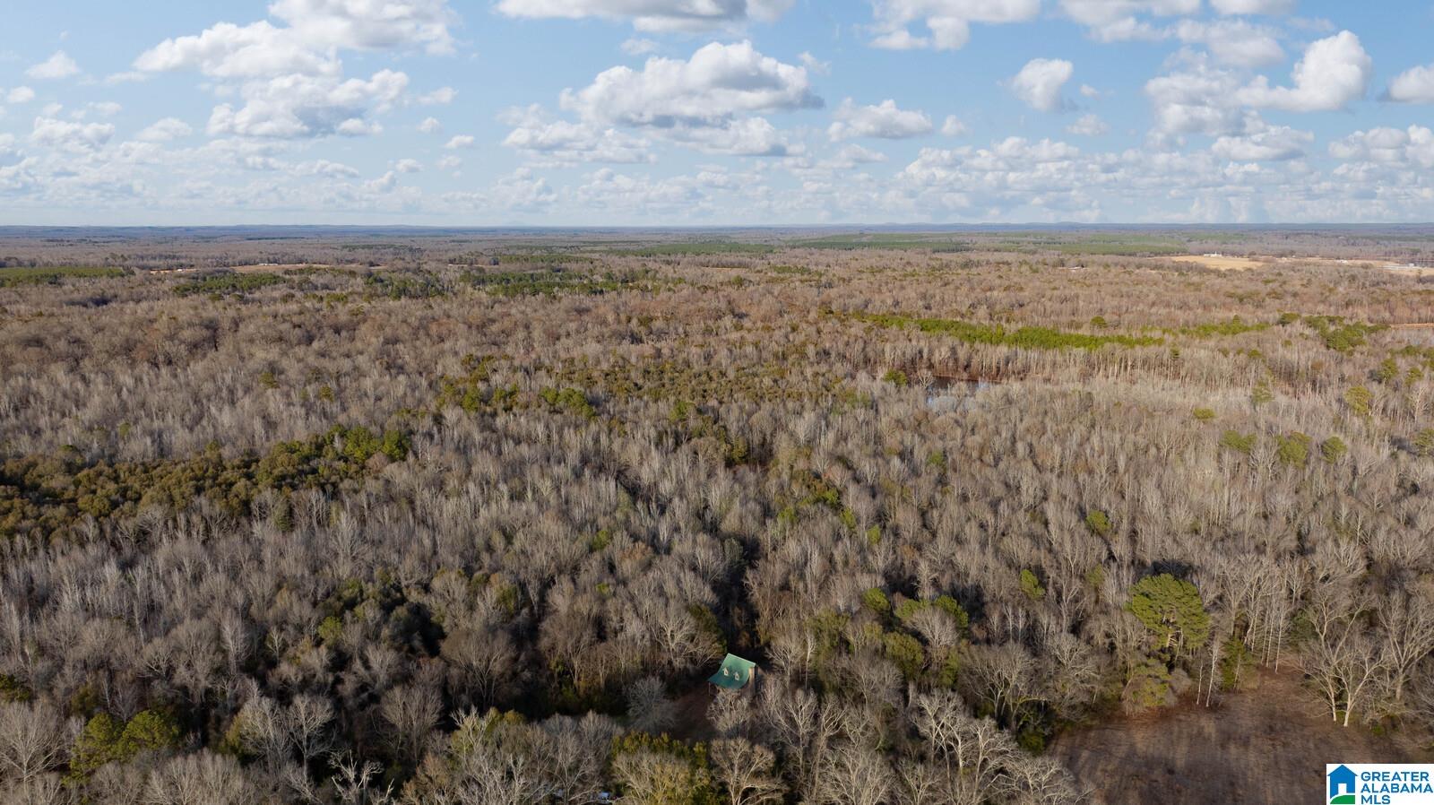 Homes for sale in Akron, AL | 00 Brush Creek Dr, Akron, AL 35441 | MLS# 21408076