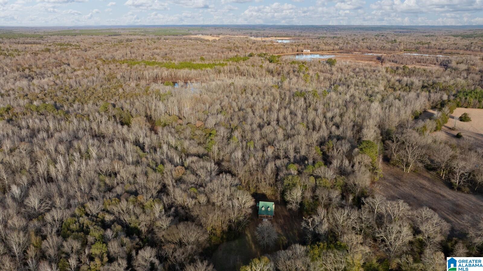 Homes for sale in Akron, AL | 00 Brush Creek Dr, Akron, AL 35441 | MLS# 21408076