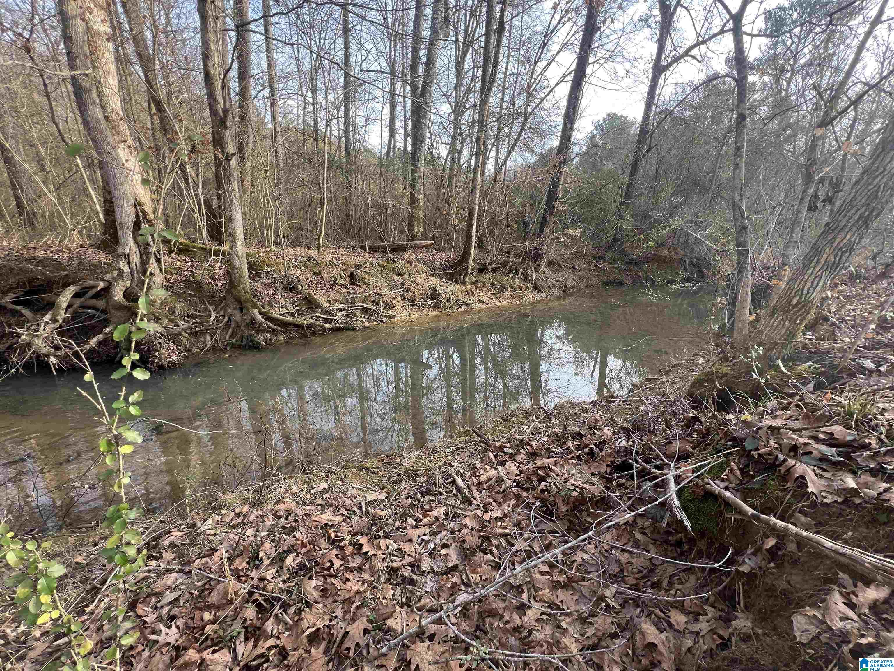 Homes for sale in Cropwell, AL | 0 Camp Creek Road, Cropwell, AL 35054 | MLS# 21408103