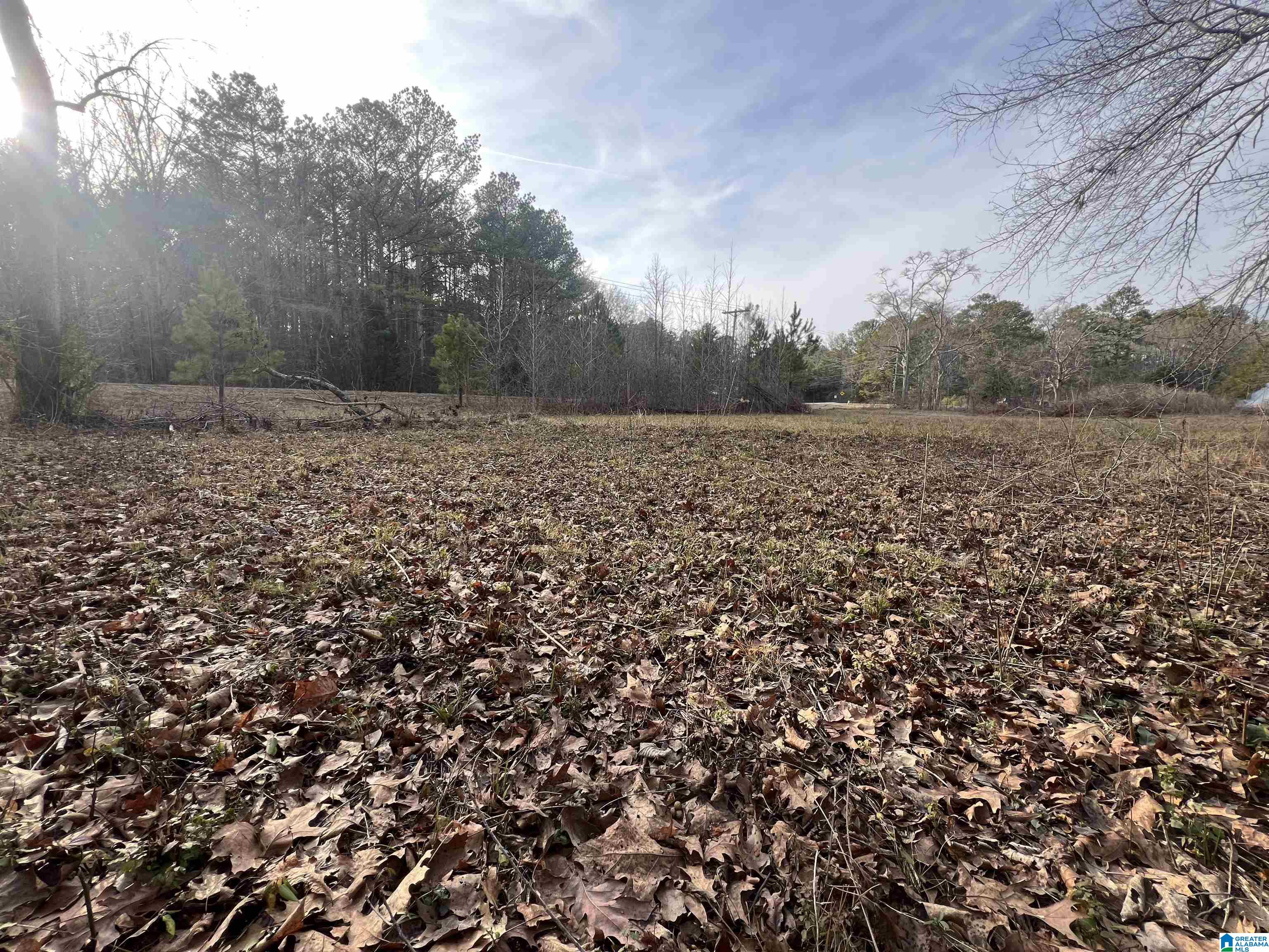 Homes for sale in Cropwell, AL | 0 Camp Creek Road, Cropwell, AL 35054 | MLS# 21408103