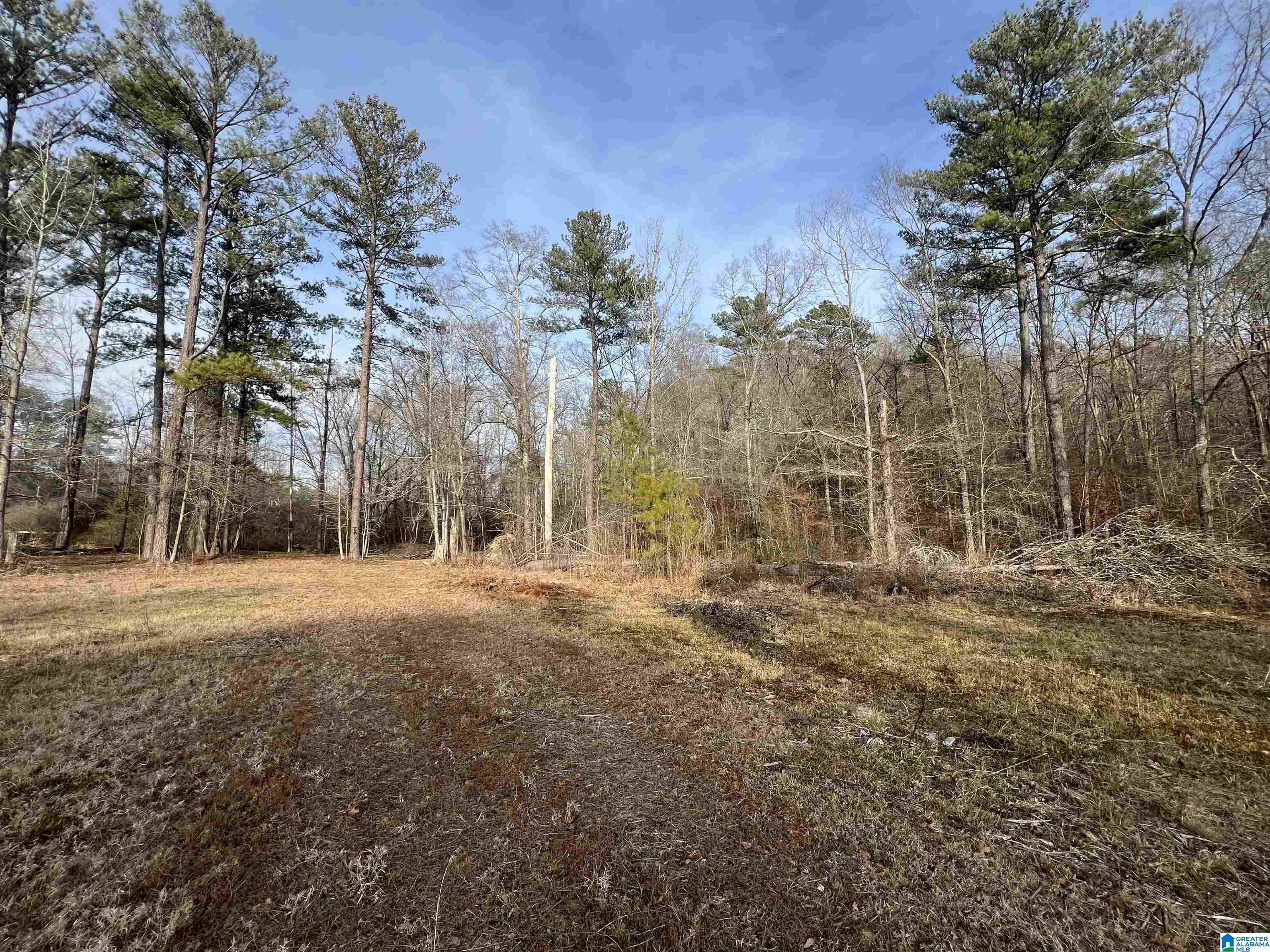 Homes for sale in Cropwell, AL | 0 Camp Creek Road, Cropwell, AL 35054 | MLS# 21408103