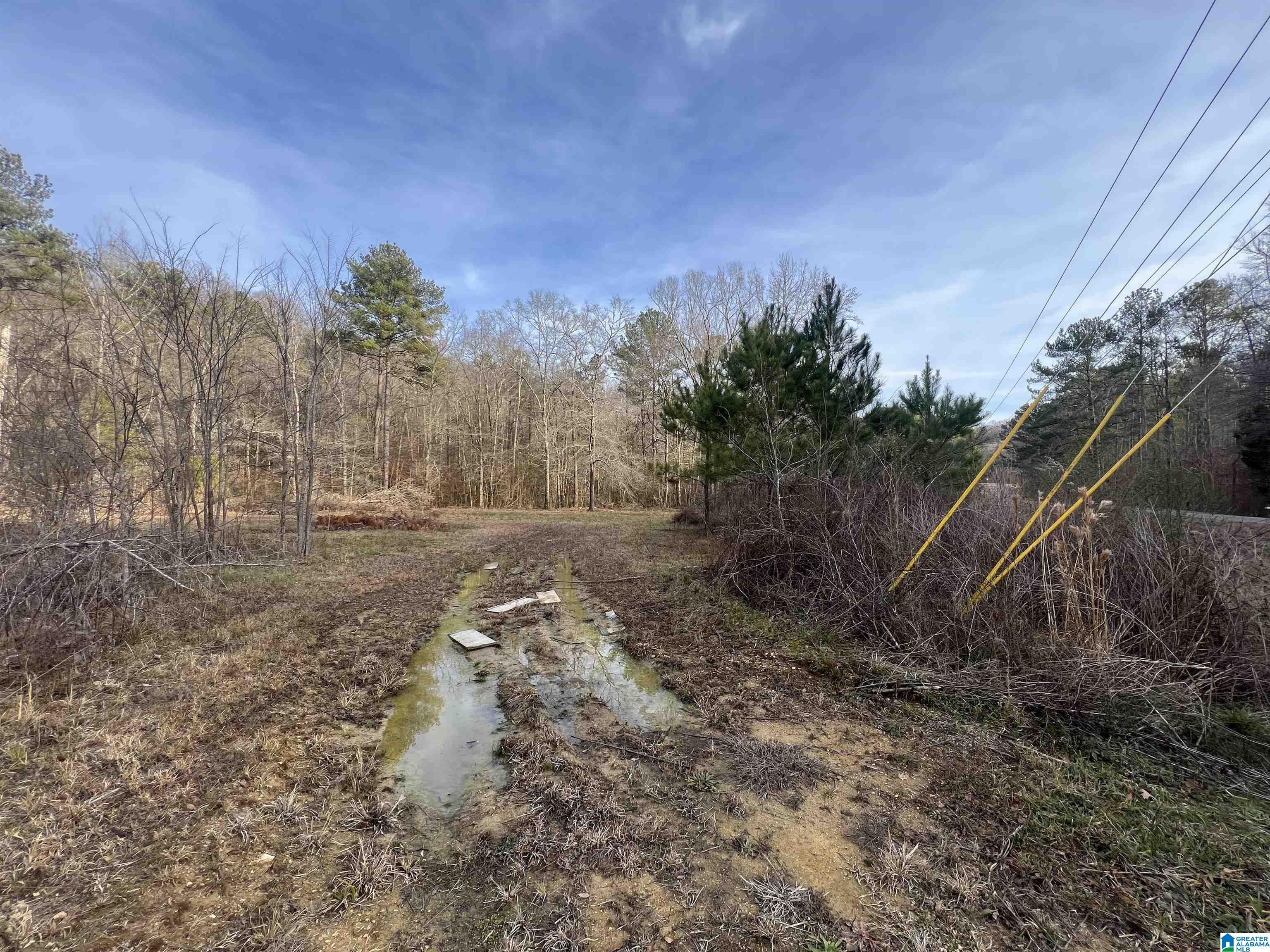 Homes for sale in Cropwell, AL | 0 Camp Creek Road, Cropwell, AL 35054 | MLS# 21408103