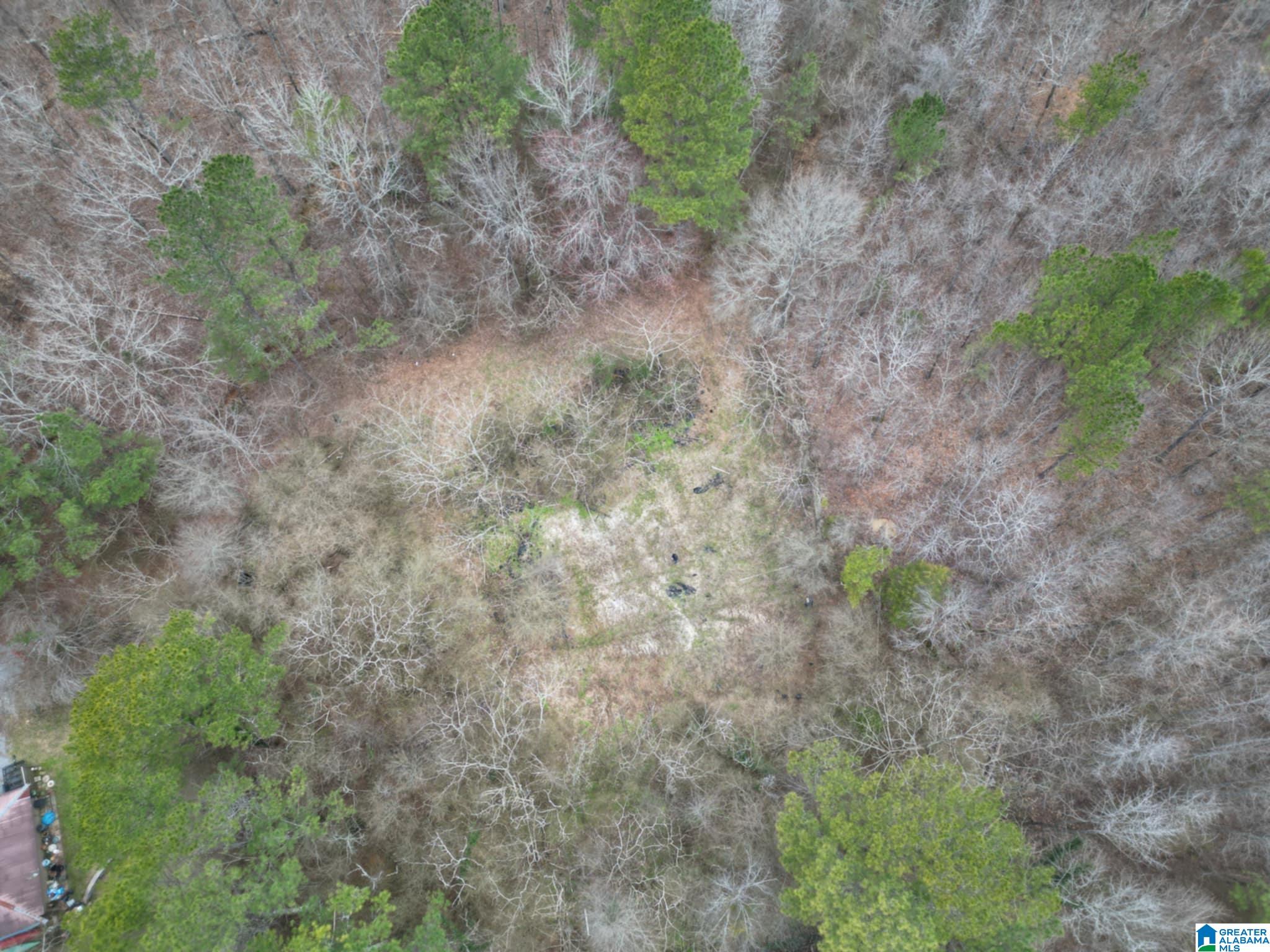 Homes for sale in Warrior, AL | 601 Eastwood Dr, Warrior, AL 35180 | MLS# 21408125