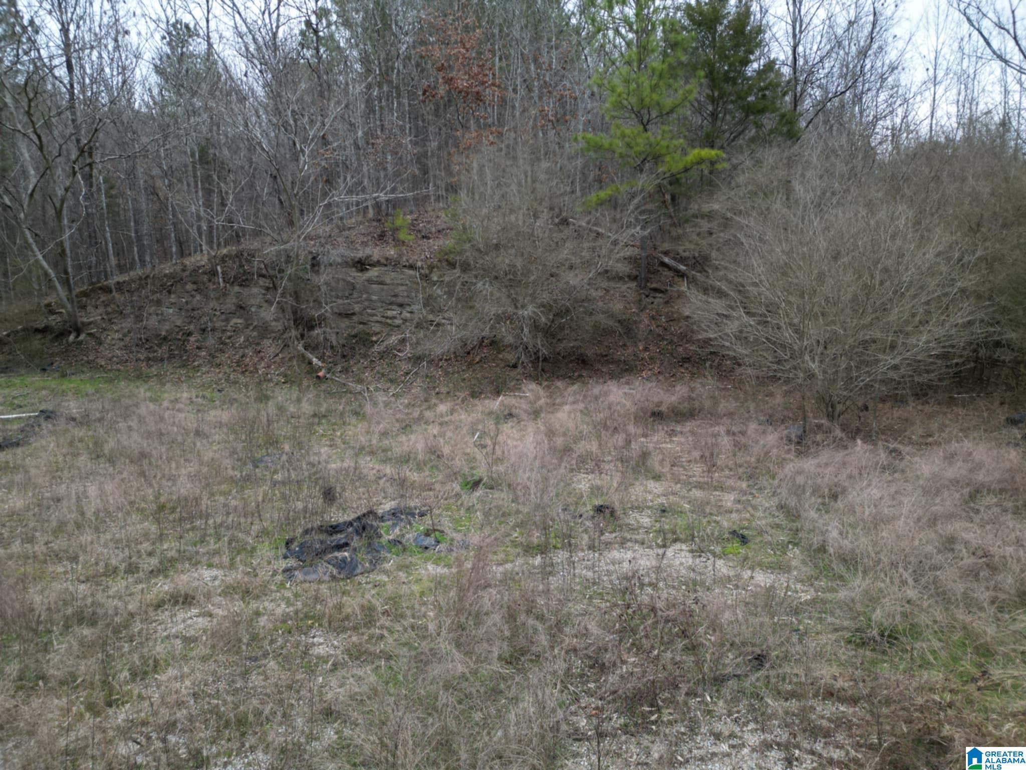 Homes for sale in Warrior, AL | 601 Eastwood Dr, Warrior, AL 35180 | MLS# 21408125