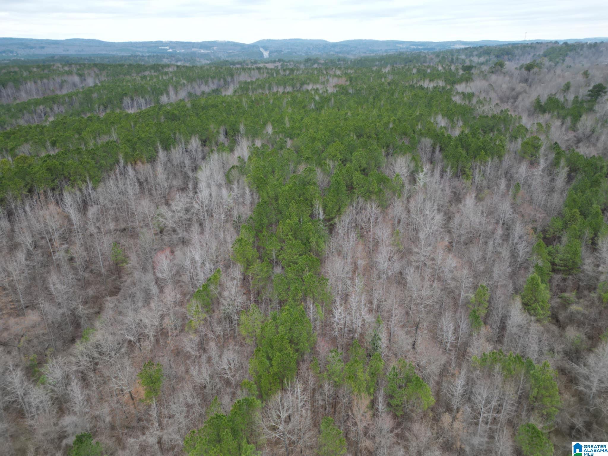 Homes for sale in Warrior, AL | 601 Eastwood Dr, Warrior, AL 35180 | MLS# 21408125