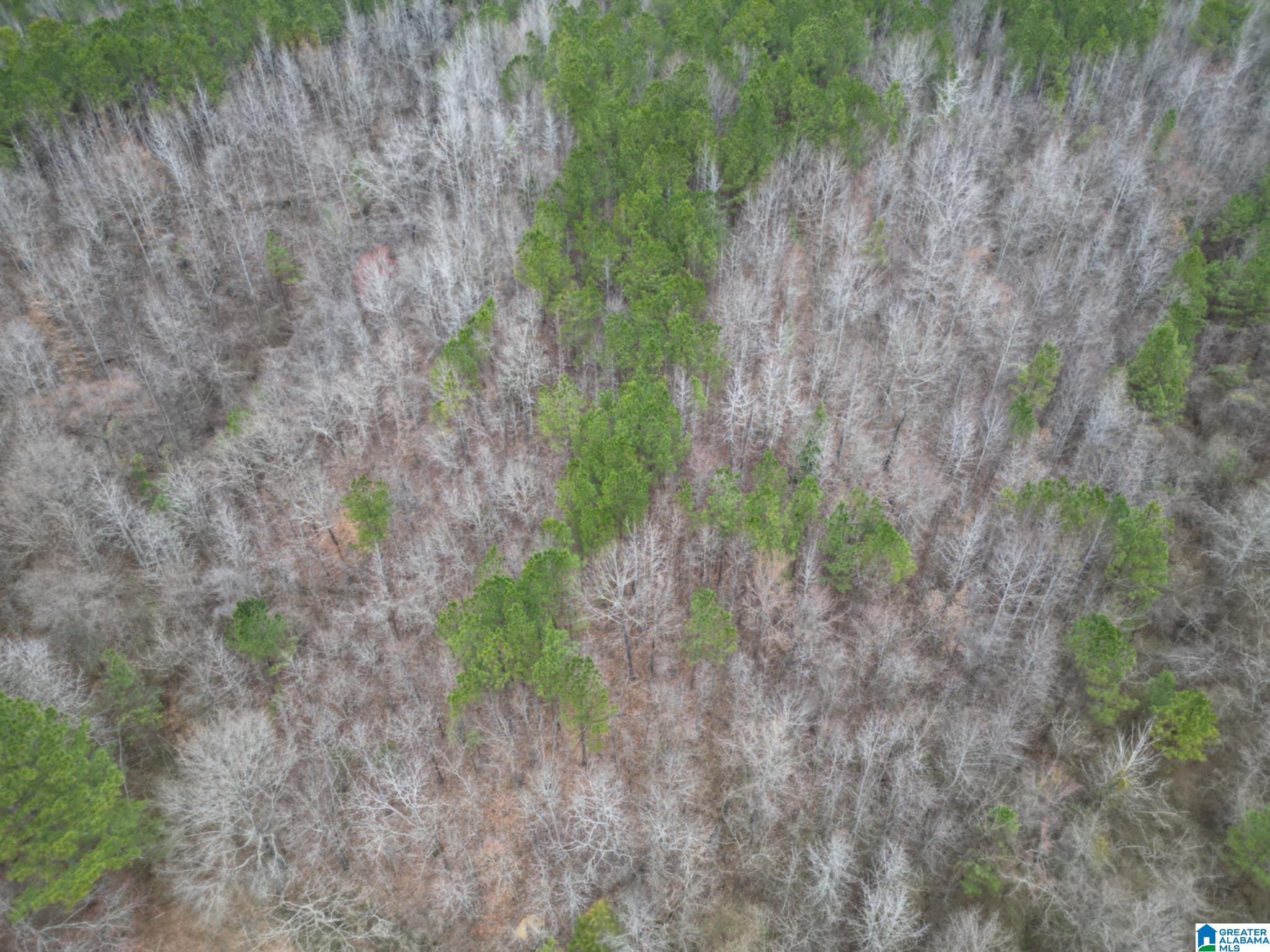 Homes for sale in Warrior, AL | 601 Eastwood Dr, Warrior, AL 35180 | MLS# 21408125