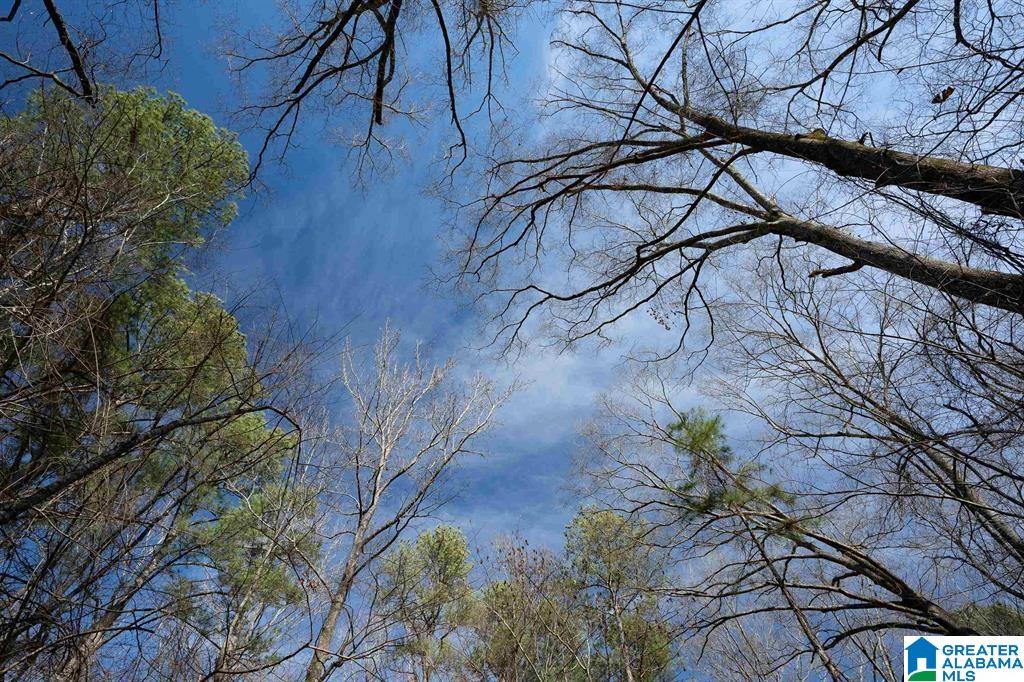 Homes for sale in Pell City, AL | 0 29th Street N, Pell City, AL 35125 | MLS# 21408163