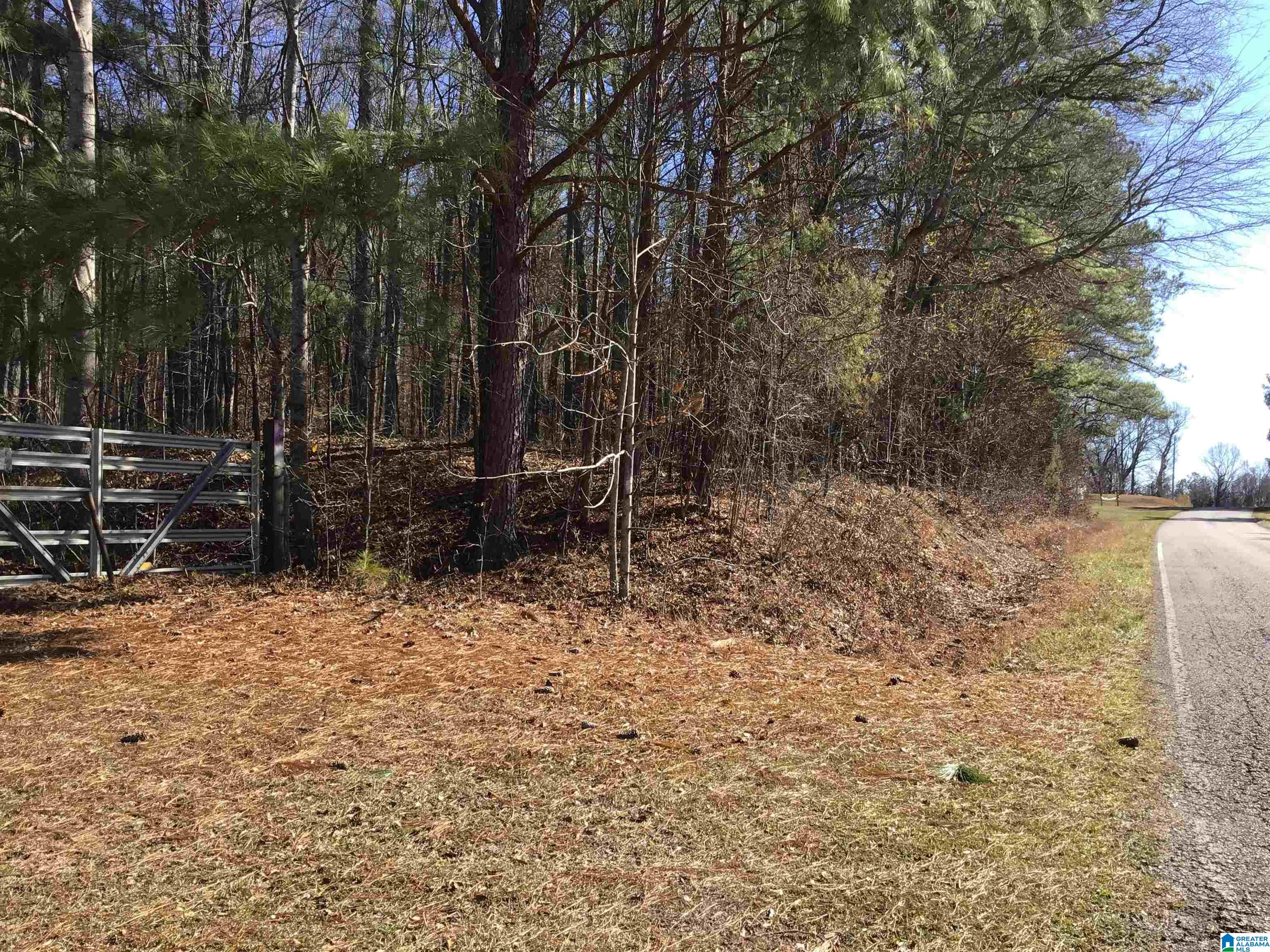 Homes for sale in Lineville, AL | 0000 County Road 57, Lineville, AL 36266 | MLS# 21408232