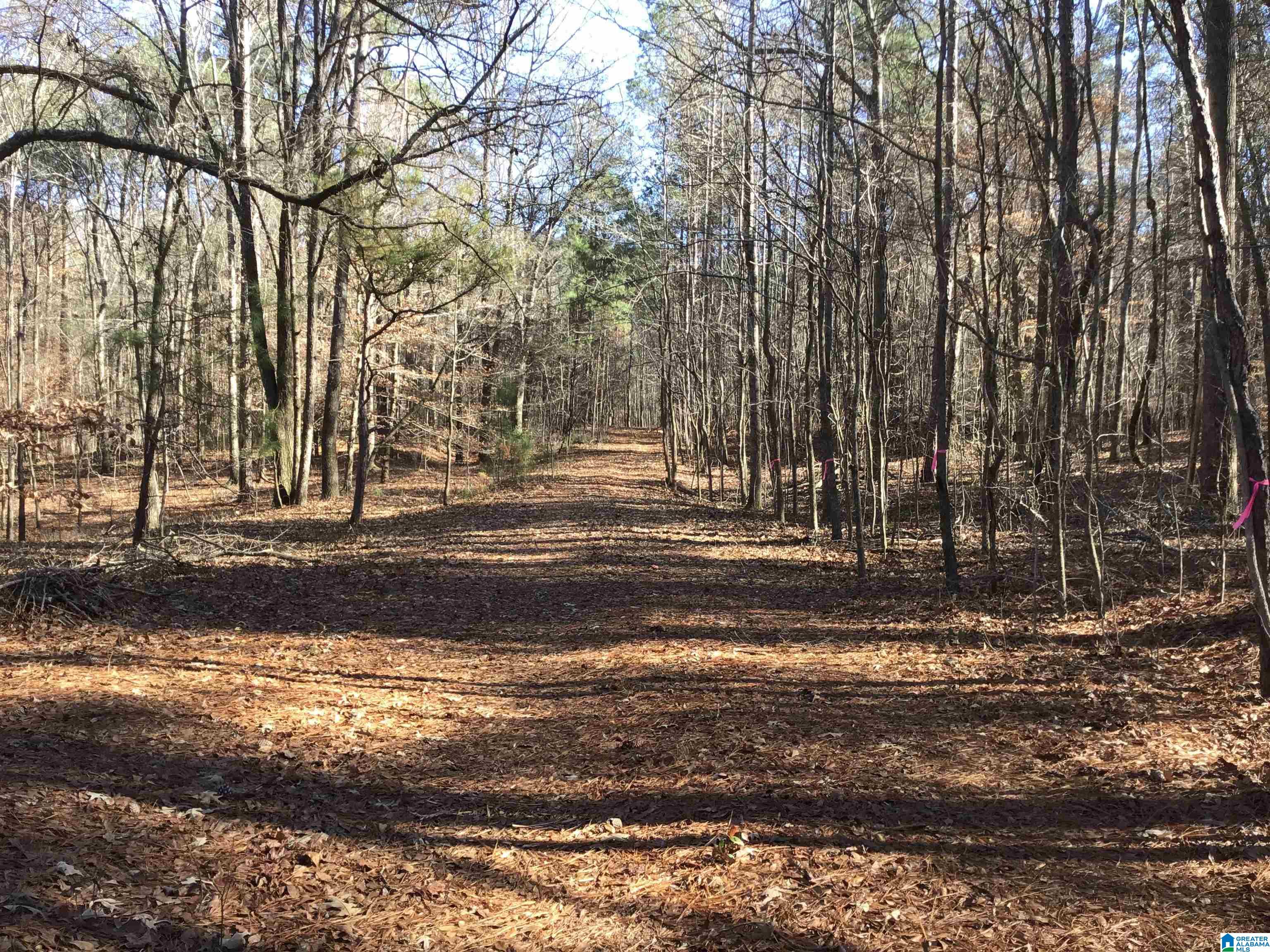 Homes for sale in Lineville, AL | 0000 County Road 57, Lineville, AL 36266 | MLS# 21408232