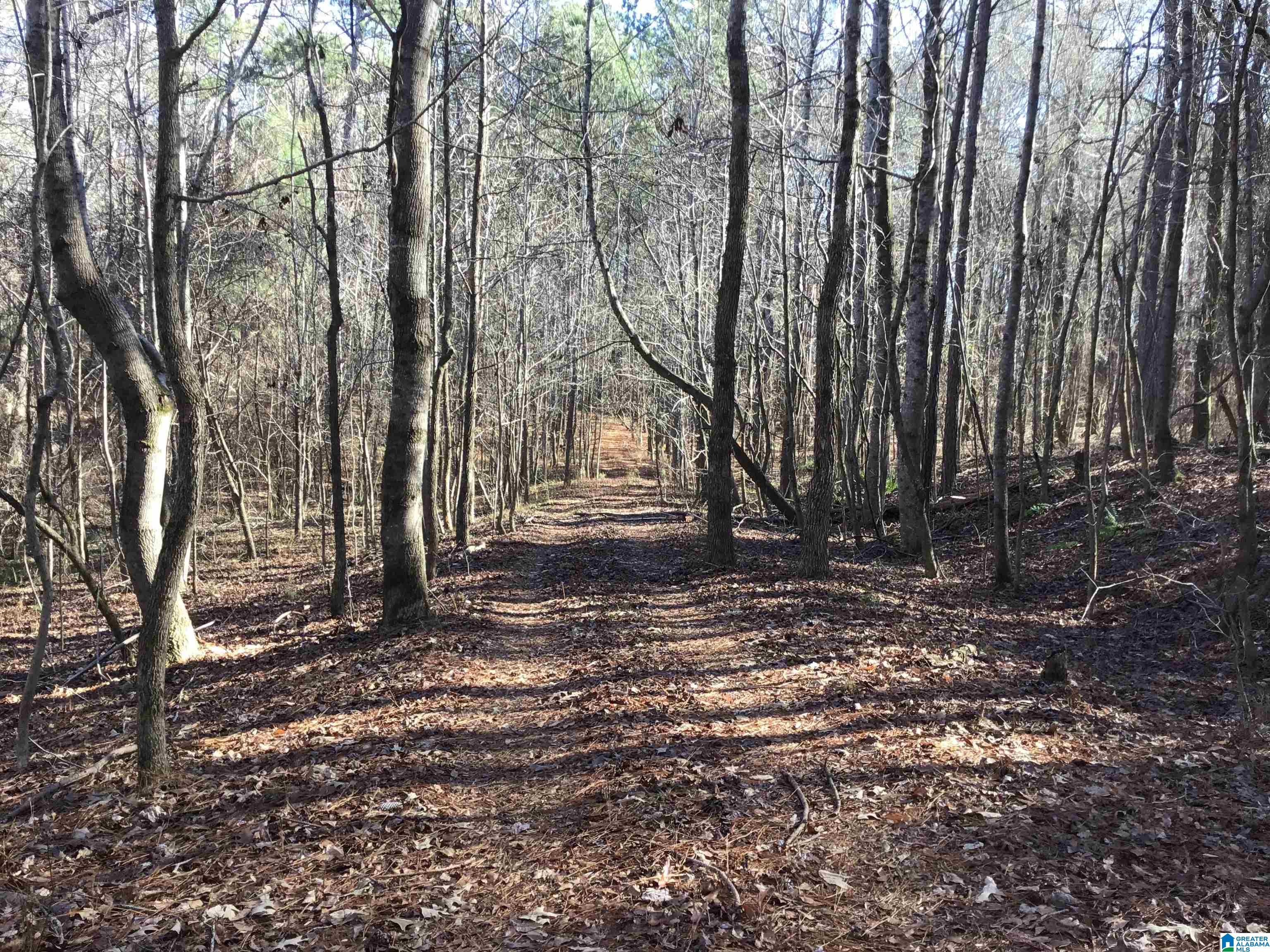 Homes for sale in Lineville, AL | 0000 County Road 57, Lineville, AL 36266 | MLS# 21408232