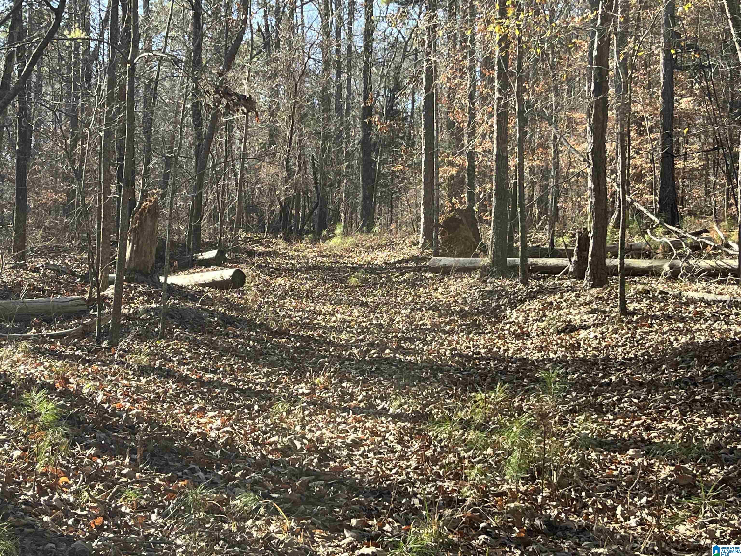 Homes for sale in Lineville, AL | 0000 County Road 57, Lineville, AL 36266 | MLS# 21408232