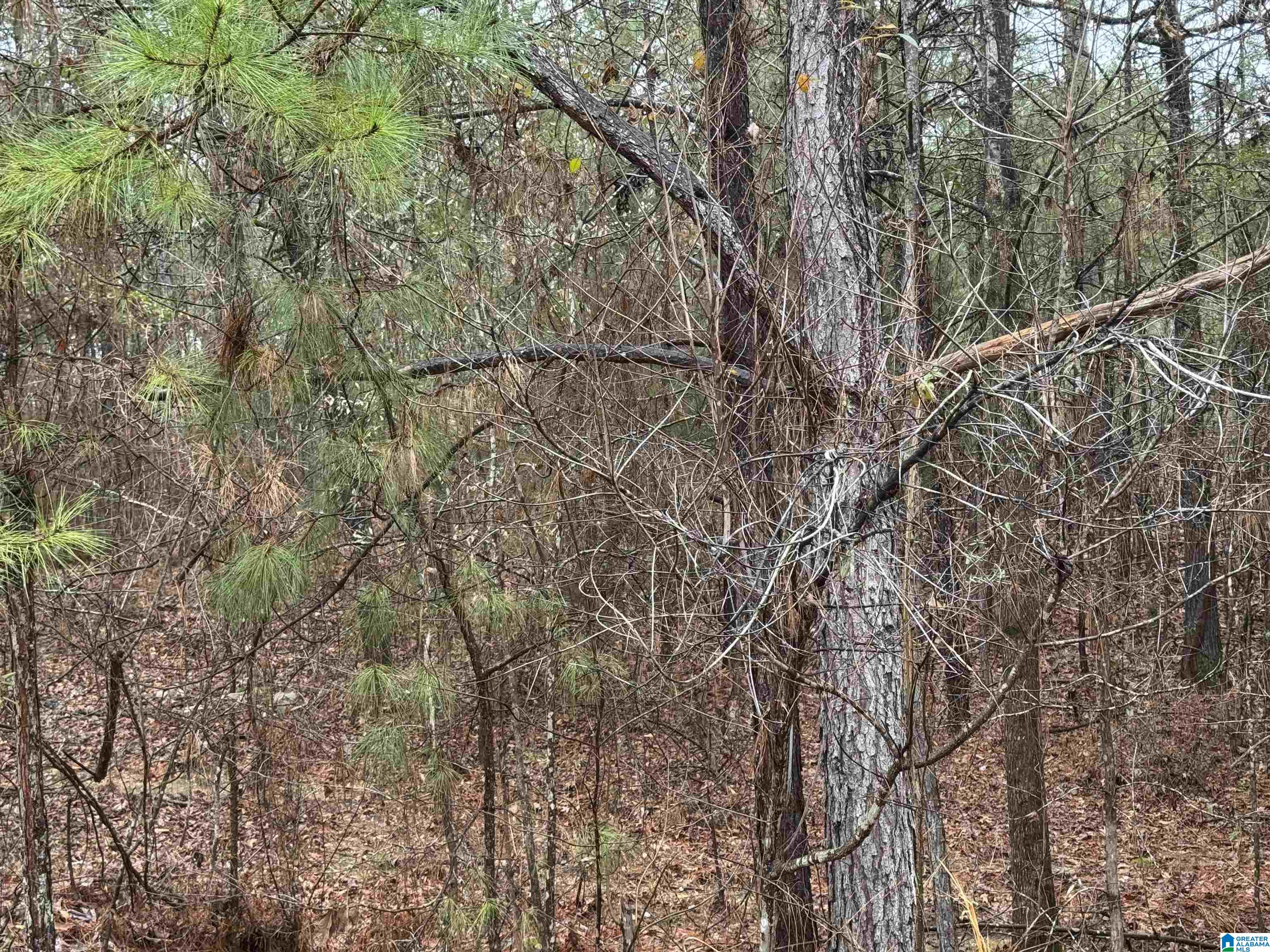 Homes for sale in Vincent, AL | 286 Willow Lane, Vincent, AL 35178 | MLS# 21408567