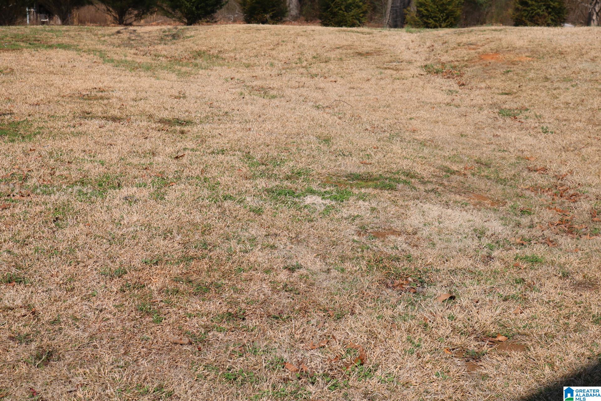 Homes for sale in Hueytown, AL | 3037 Lee Ann Dr, Hueytown, AL 35023 | MLS# 21408851