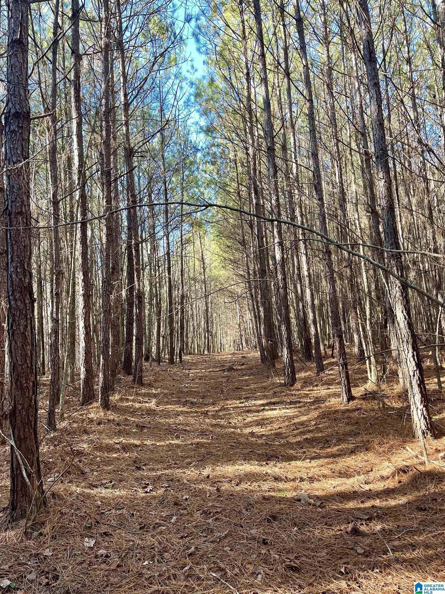0 COUNTY ROAD 134