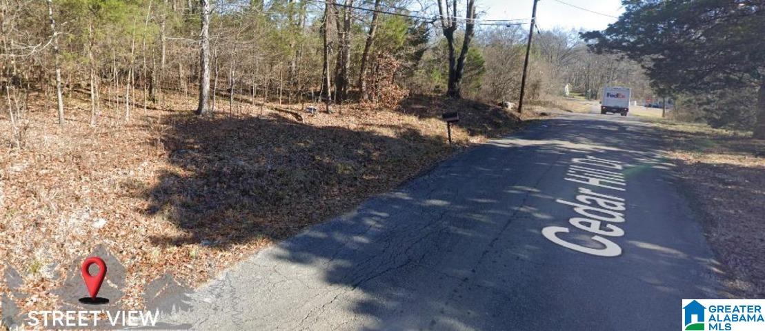 Homes for sale in Birmingham, AL | 2438 Cedar Hill Dr, Birmingham, AL 35217 | MLS# 21409022