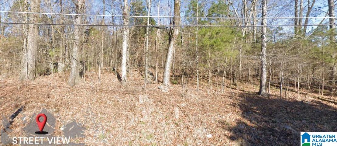 Homes for sale in Birmingham, AL | 2438 Cedar Hill Dr, Birmingham, AL 35217 | MLS# 21409022