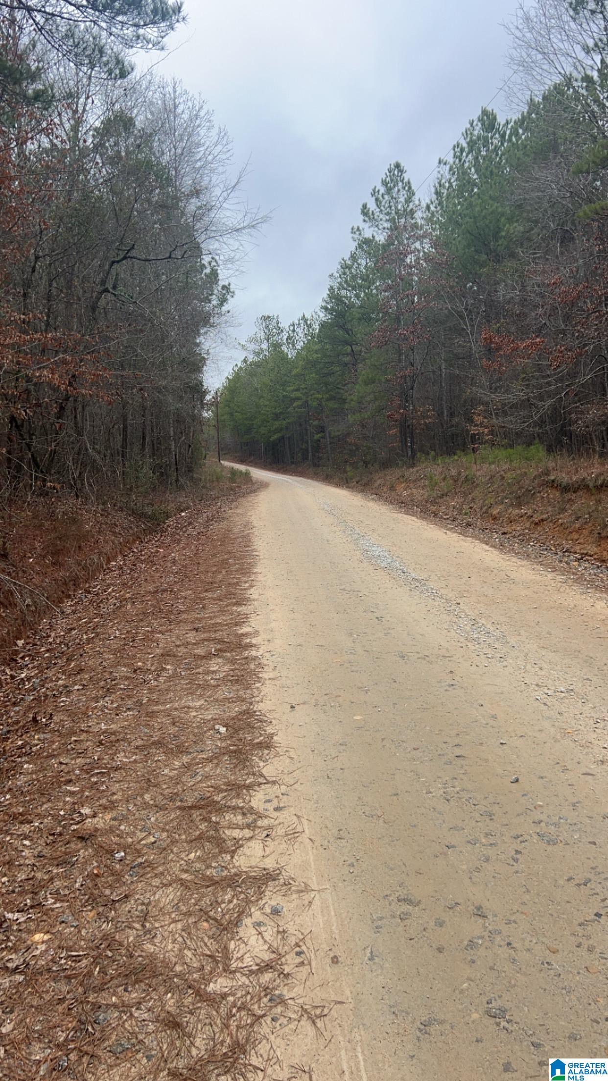 Lot 5 /2 Acre COUNTY ROAD 823