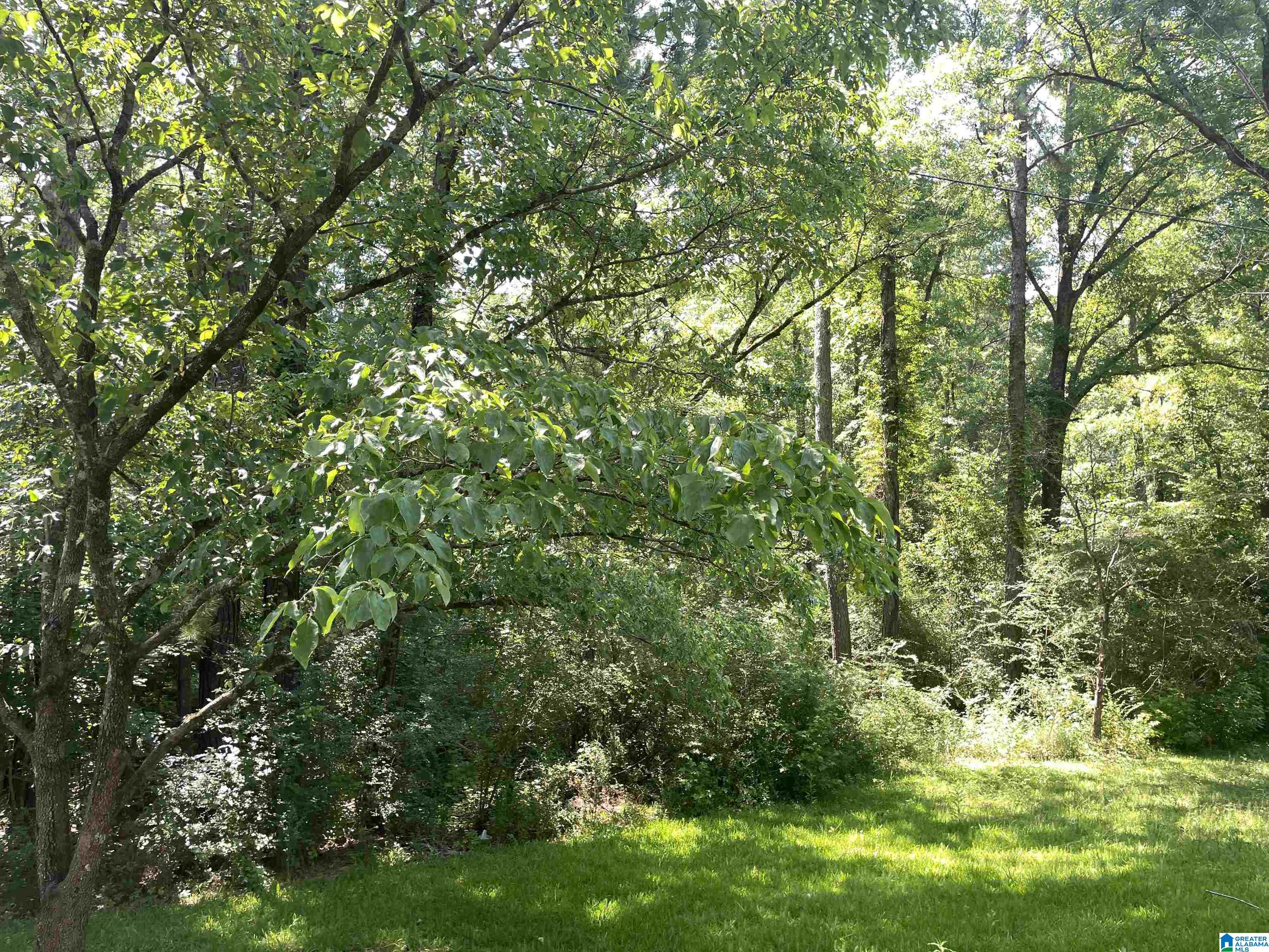 Homes for sale in Chelsea, AL | Hwy 47, Chelsea, AL 35043 | MLS# 21409128