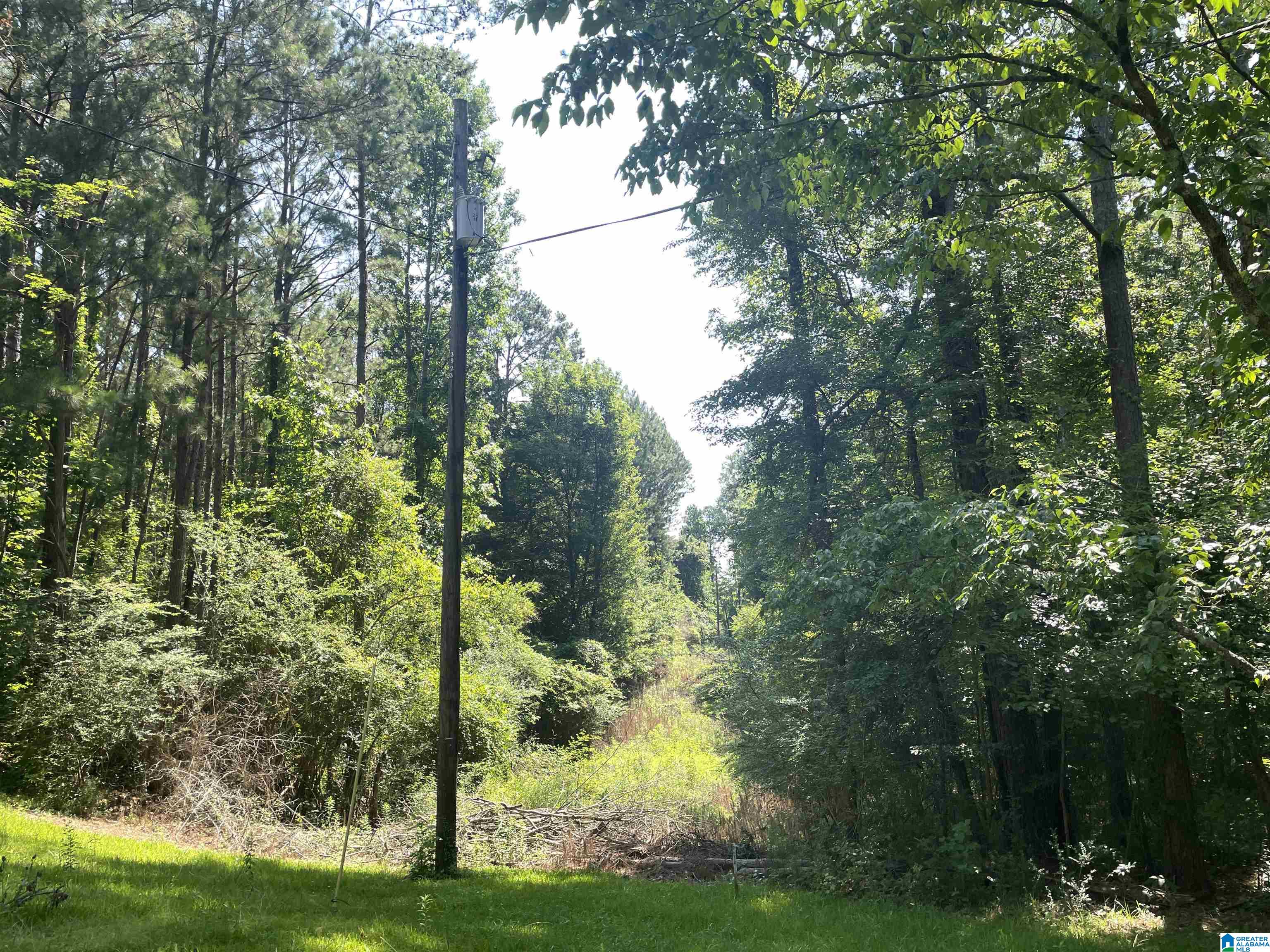 Homes for sale in Chelsea, AL | Hwy 47, Chelsea, AL 35043 | MLS# 21409128