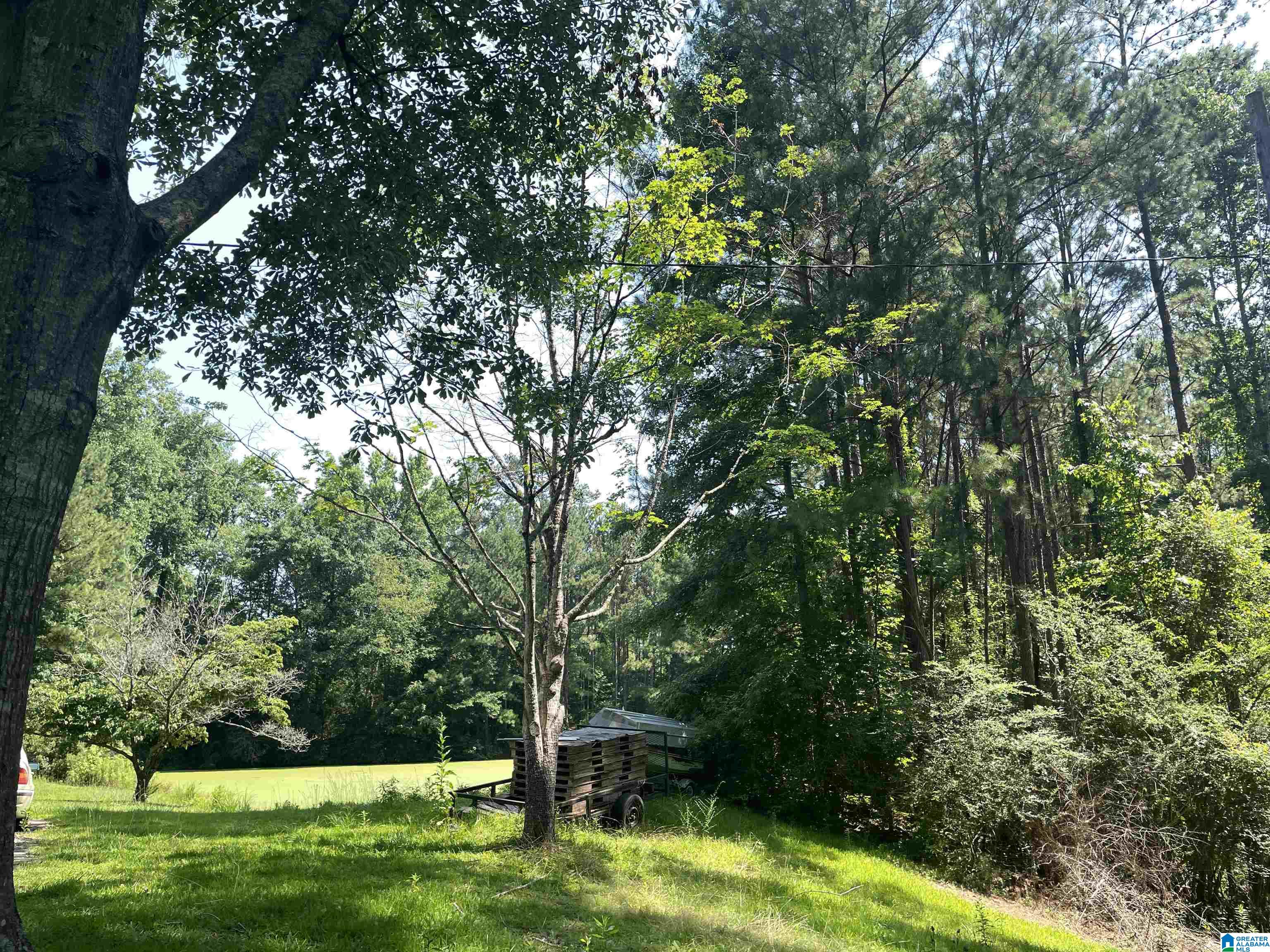 Homes for sale in Chelsea, AL | Hwy 47, Chelsea, AL 35043 | MLS# 21409128