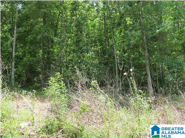 Homes for sale in Wedowee, AL | Lot # 24 Mandy Dr, Wedowee, AL 36278 | MLS# 21409322