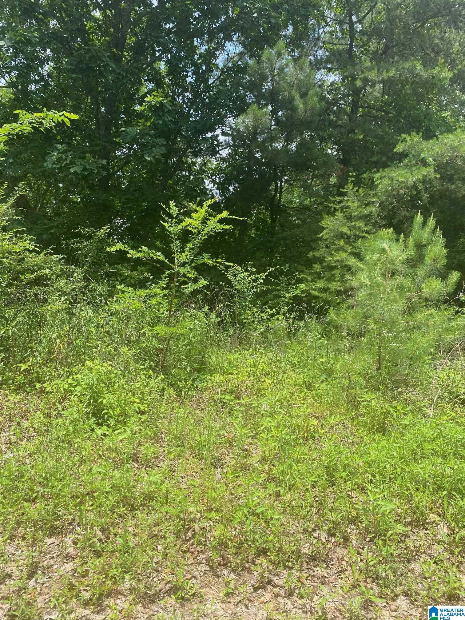 0 JEAN RIDGE LANE