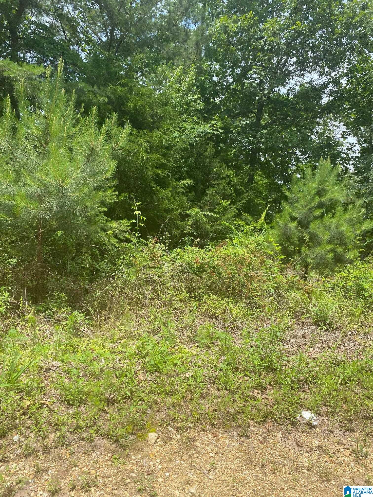 0 WALNUT COVE