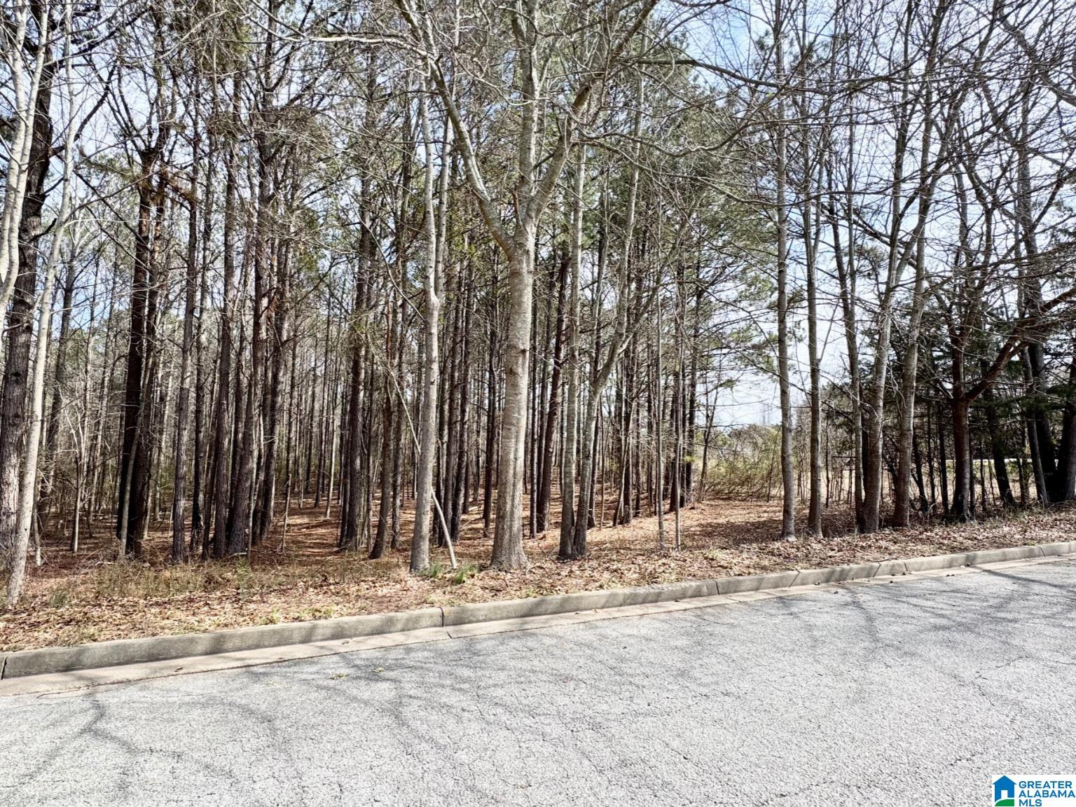0 FAIRWAY DRIVE