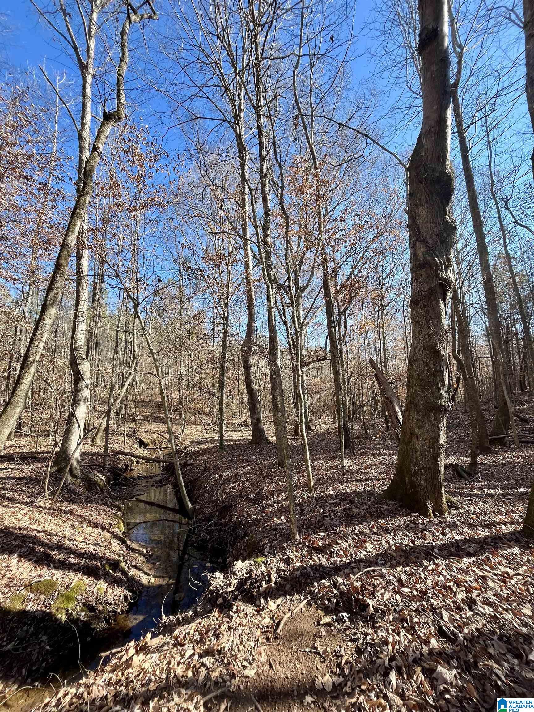 0 COUNTY ROAD 432