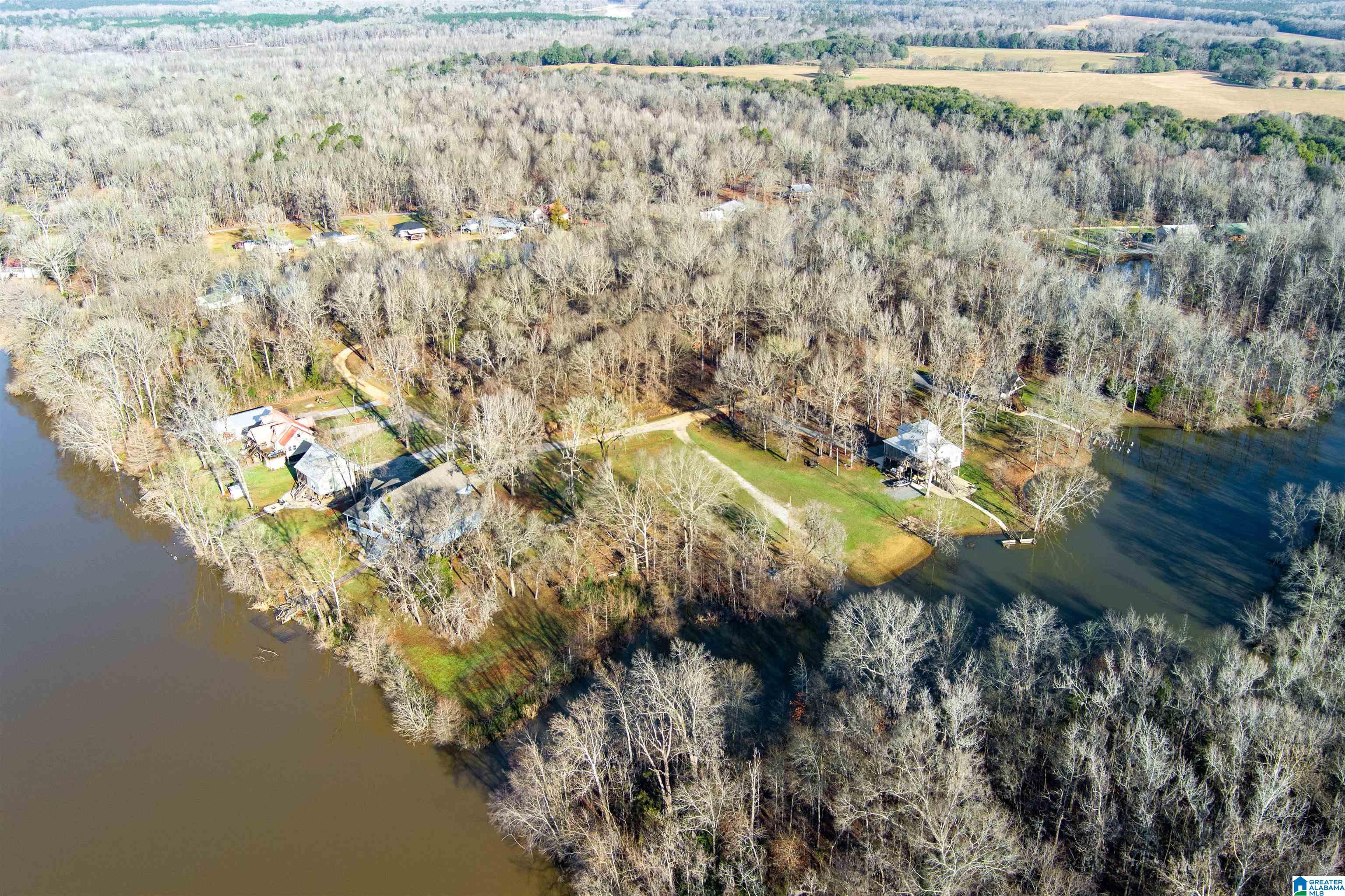 Homes for sale in Orrville, AL | 0 River Oaks Landing Circle, Orrville, AL 36767 | MLS# 21410025