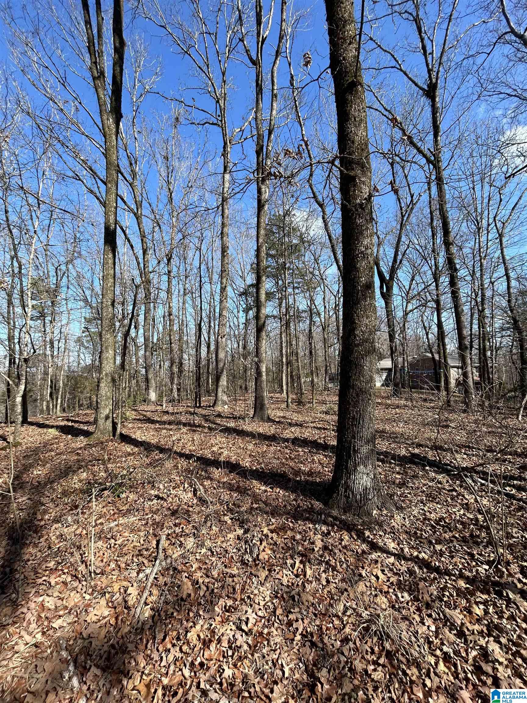 Homes for sale in Montevallo, AL | 1059 Spring Creek Road, Montevallo, AL 35115 | MLS# 21410038