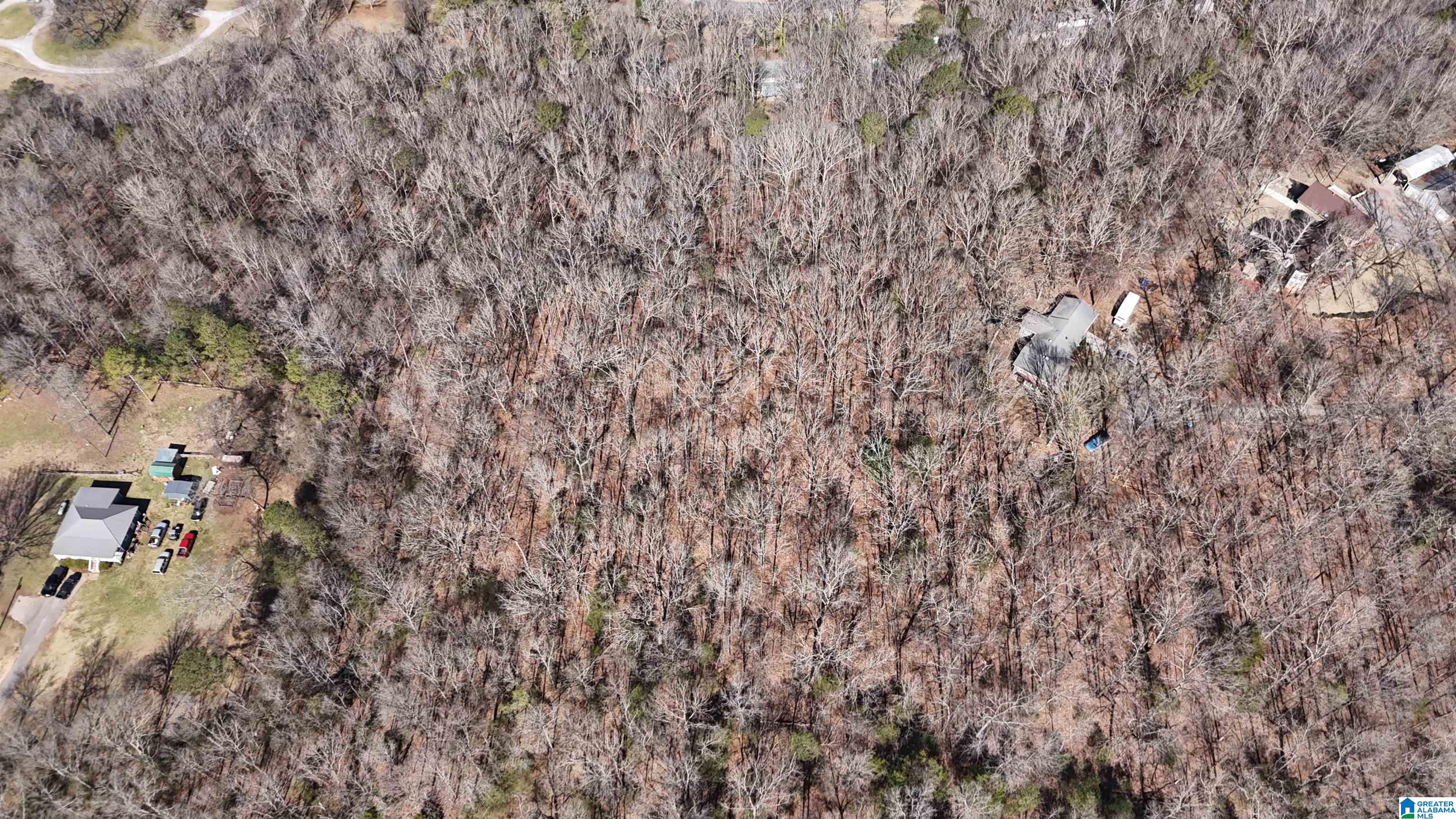 Homes for sale in Montevallo, AL | 1059 Spring Creek Road, Montevallo, AL 35115 | MLS# 21410038