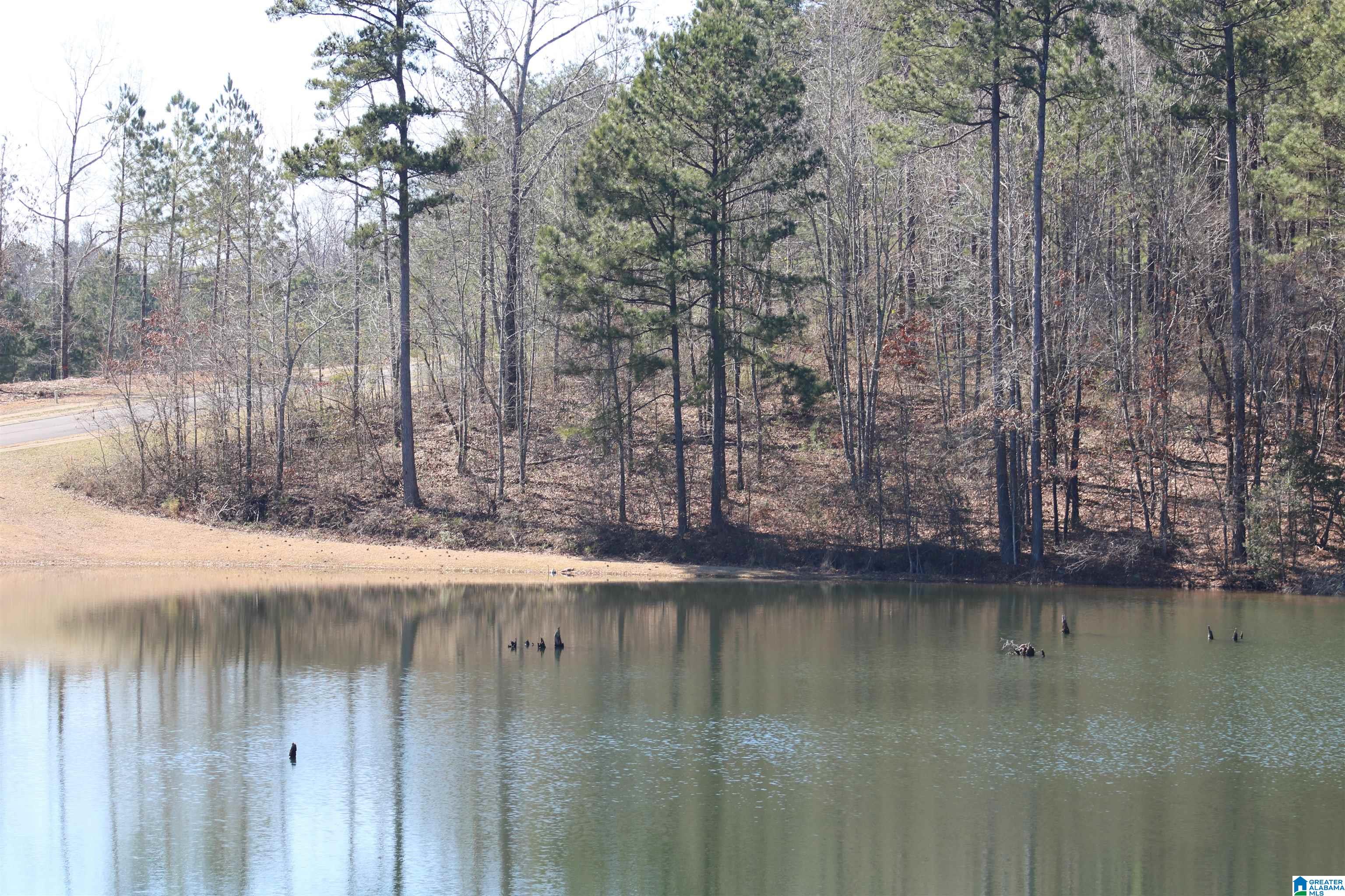 Homes for sale in Vincent, AL | 51 Bells Lane, Vincent, AL 35178 | MLS# 21410194