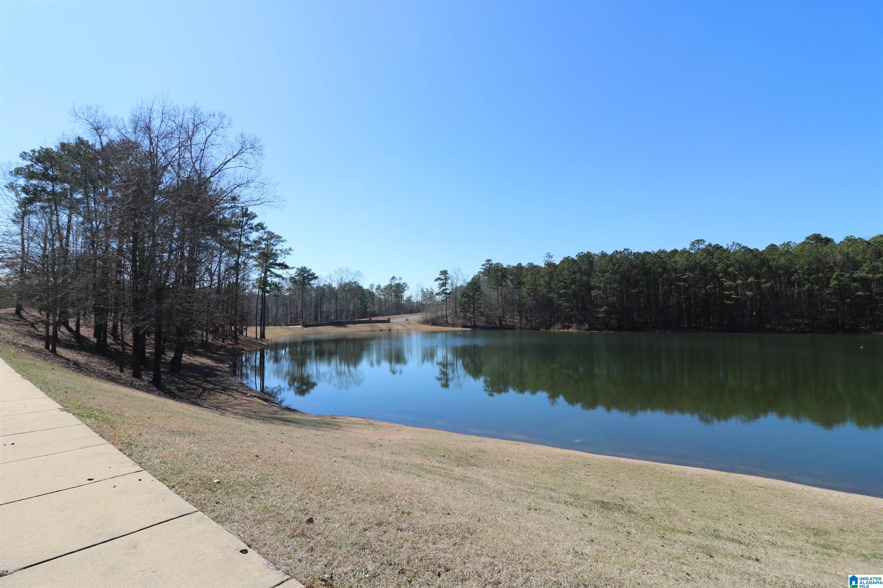 Homes for sale in Vincent, AL | 51 Bells Lane, Vincent, AL 35178 | MLS# 21410194