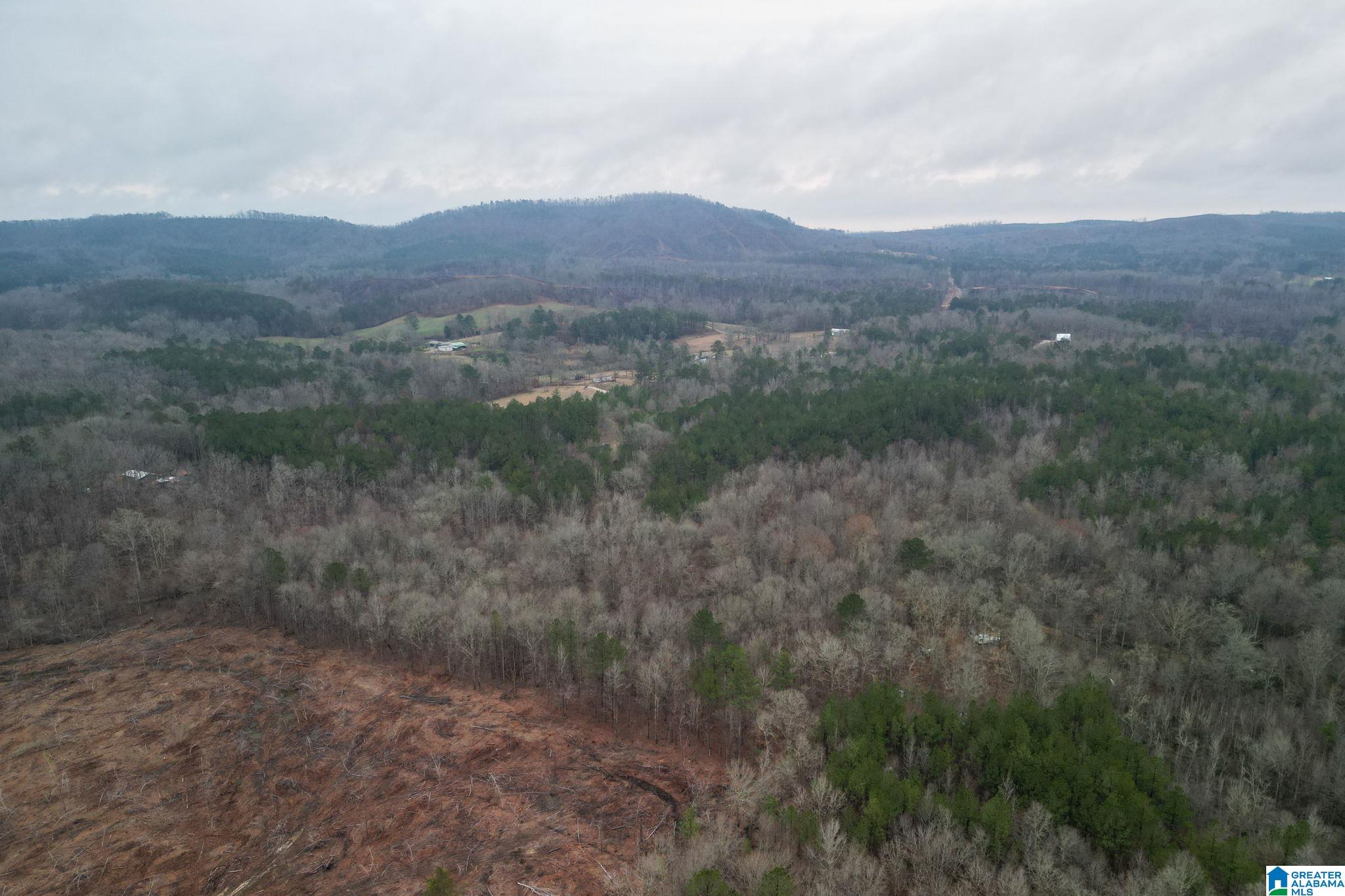 Homes for sale in Lineville, AL | 0 Hwy 49, Lineville, AL 36266 | MLS# 21410224