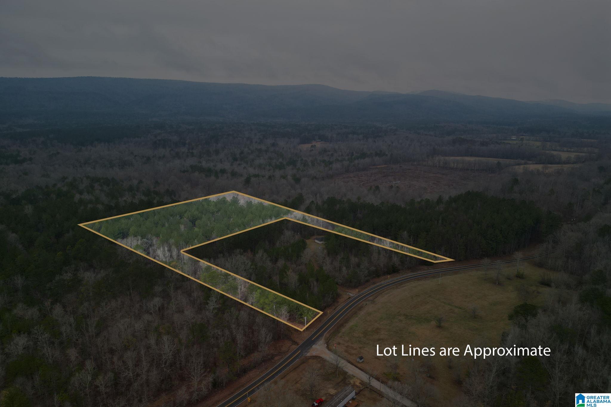 Homes for sale in Lineville, AL | 0 Hwy 49, Lineville, AL 36266 | MLS# 21410224