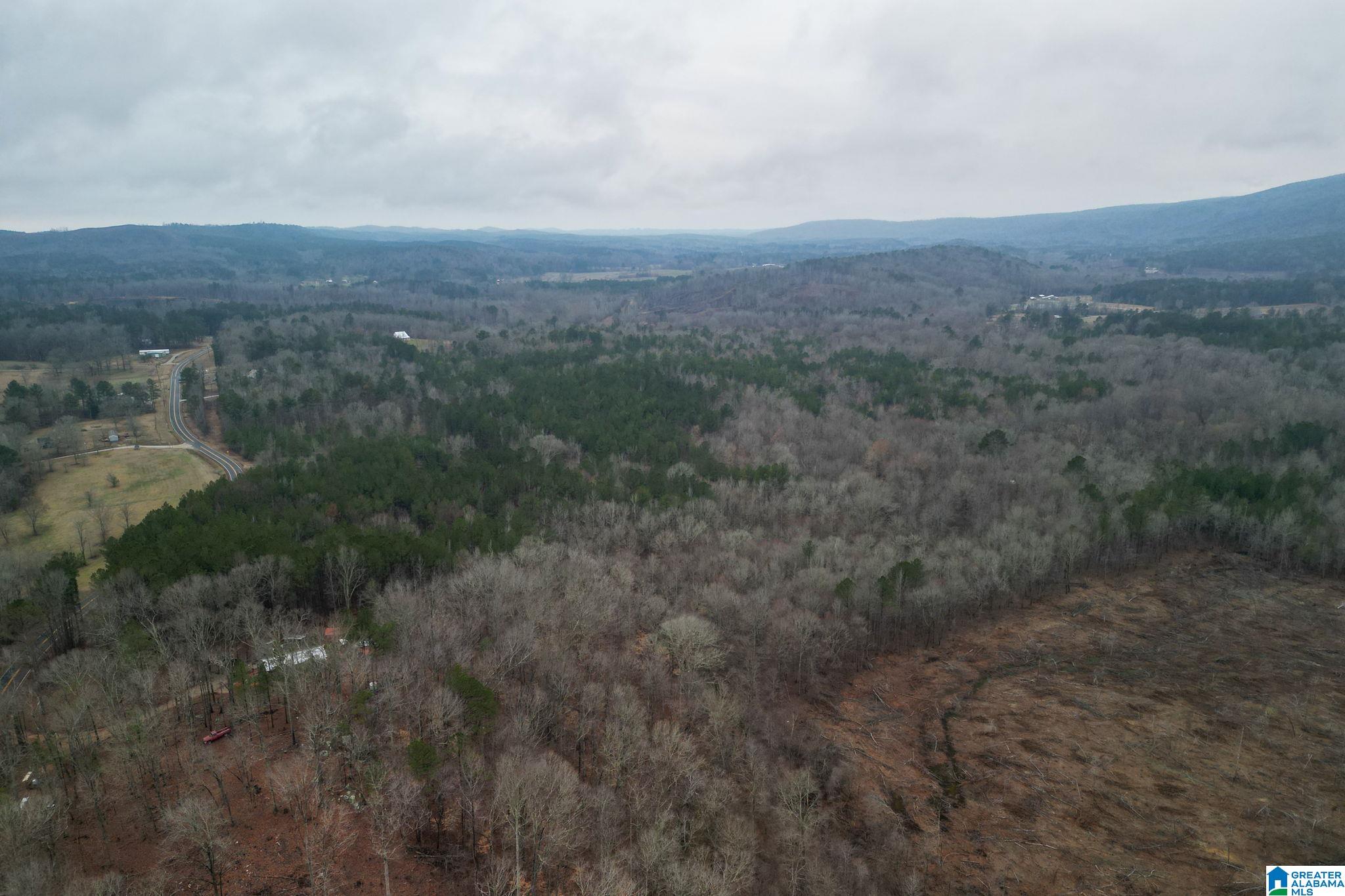 Homes for sale in Lineville, AL | 0 Hwy 49, Lineville, AL 36266 | MLS# 21410224