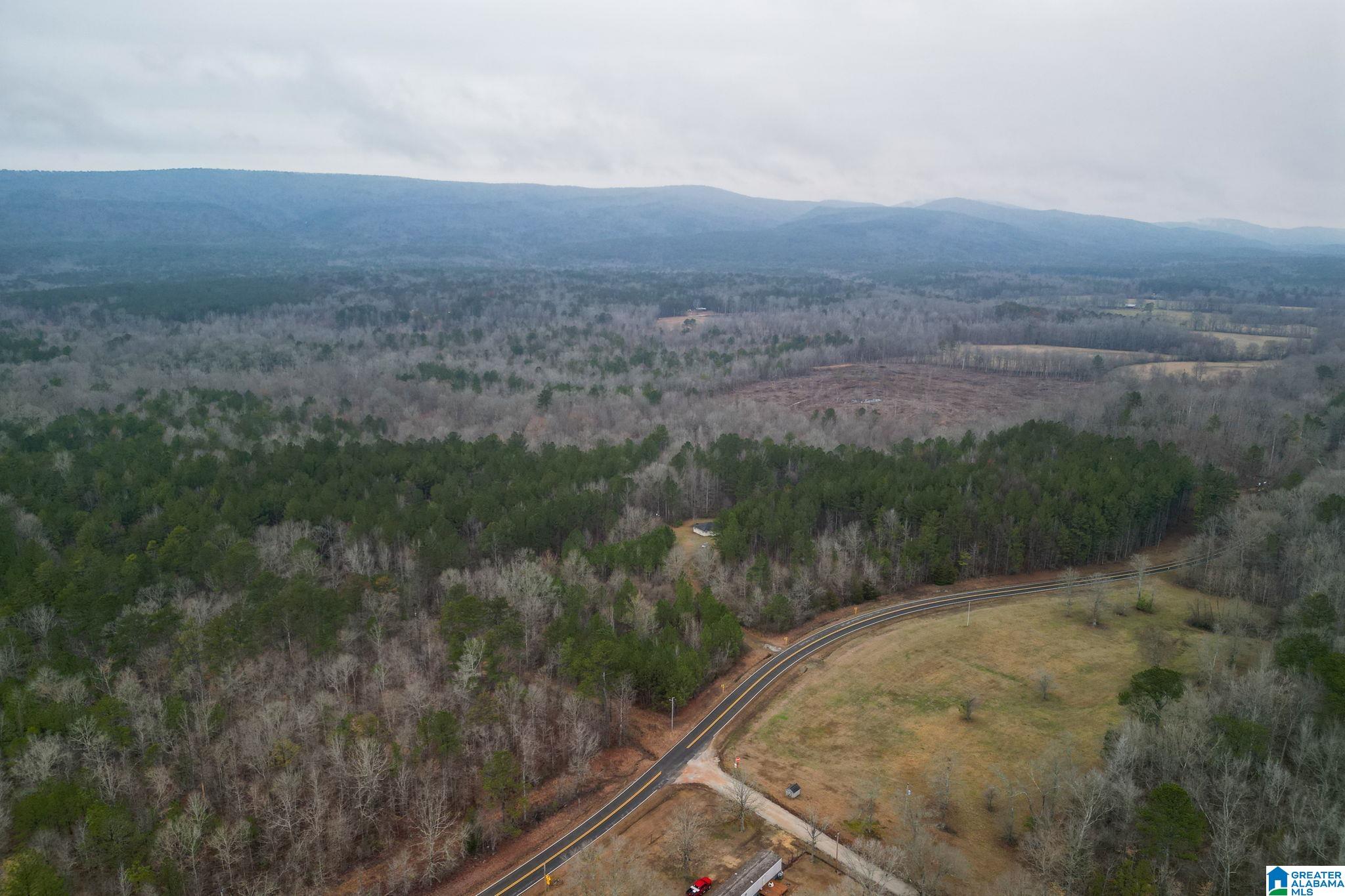 Homes for sale in Lineville, AL | 0 Hwy 49, Lineville, AL 36266 | MLS# 21410224