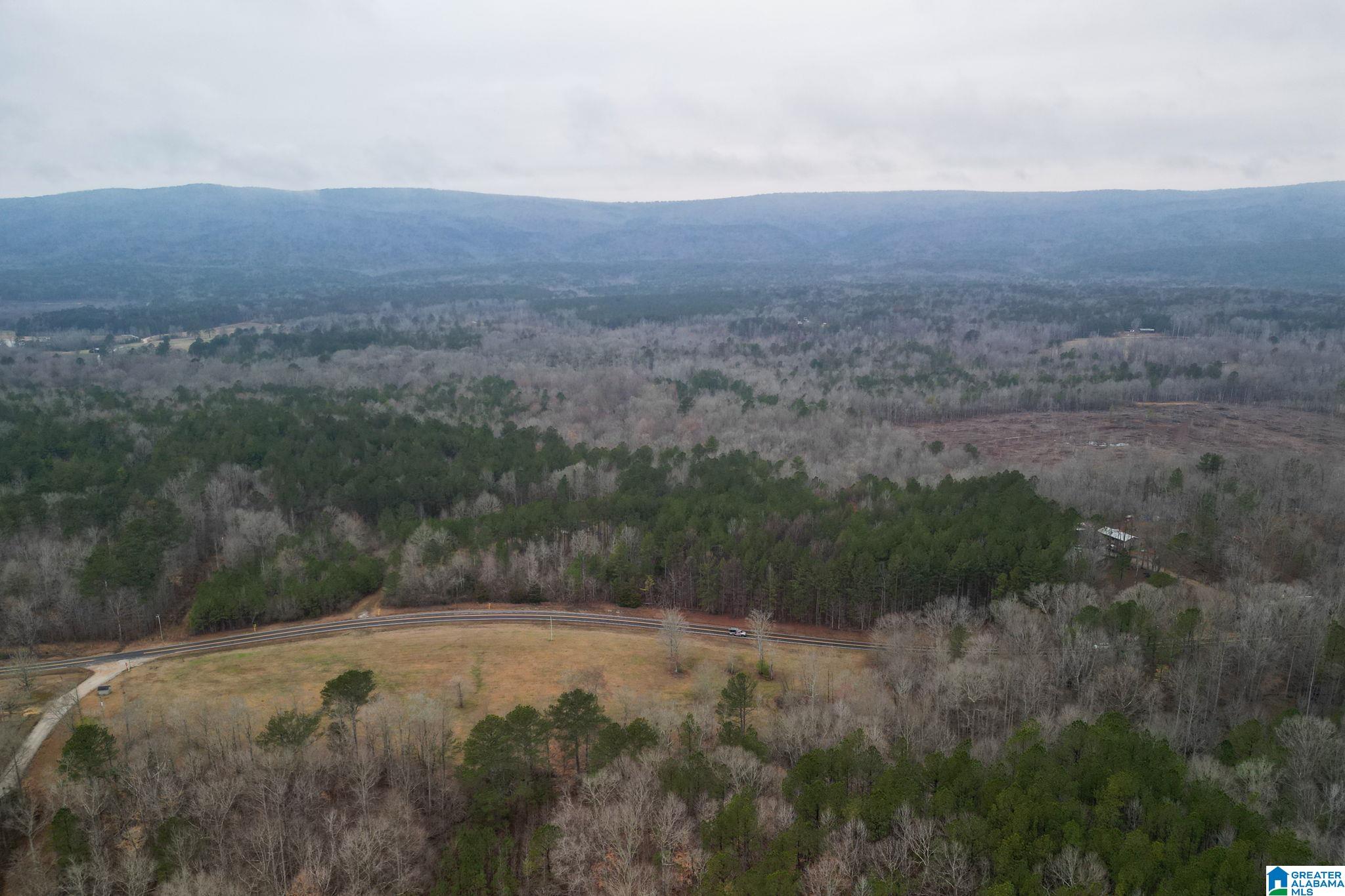 Homes for sale in Lineville, AL | 0 Hwy 49, Lineville, AL 36266 | MLS# 21410224