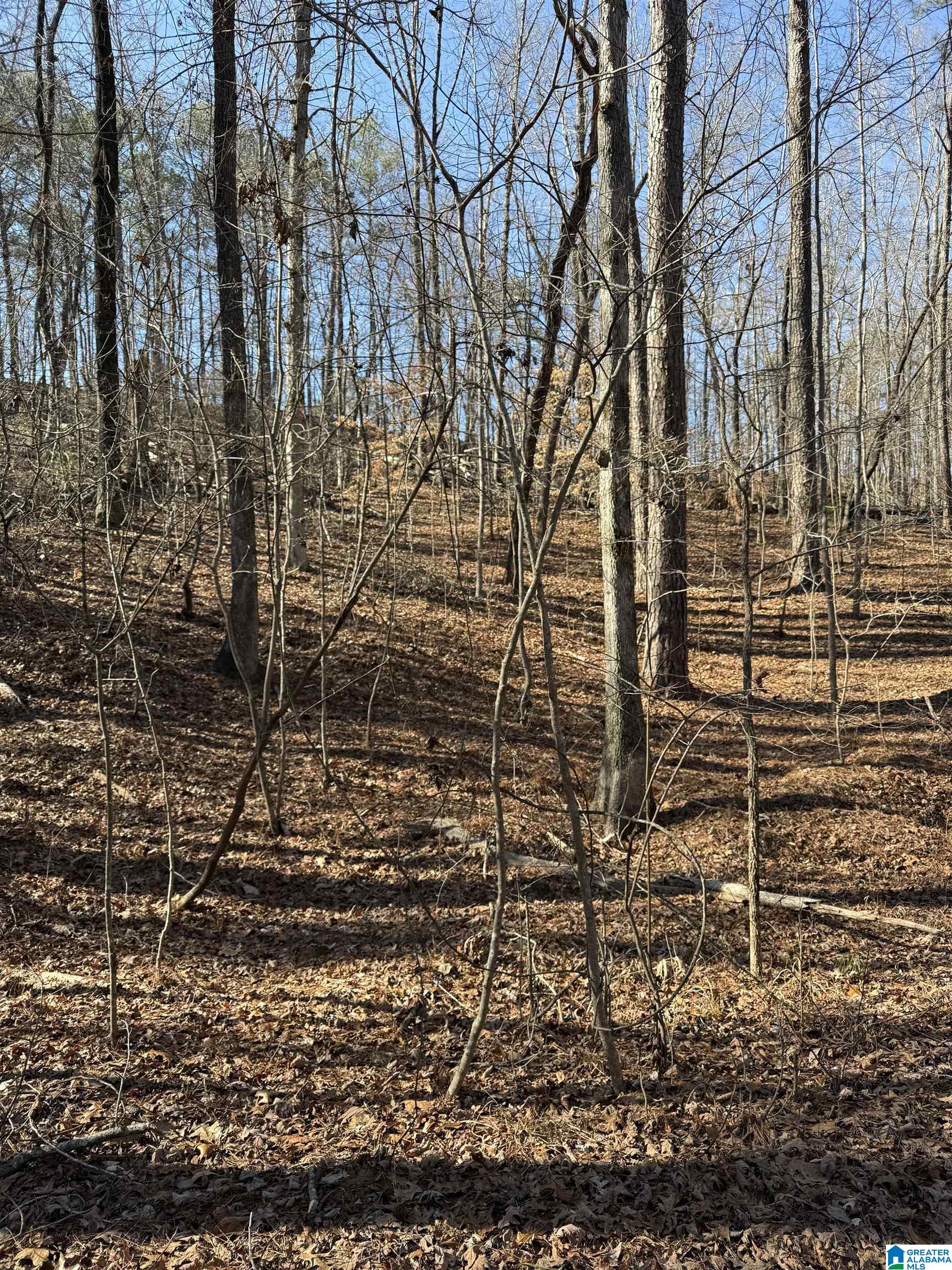 Homes for sale in Alabaster, AL | 2 Oakmont Dr, Alabaster, AL 35007 | MLS# 21410243