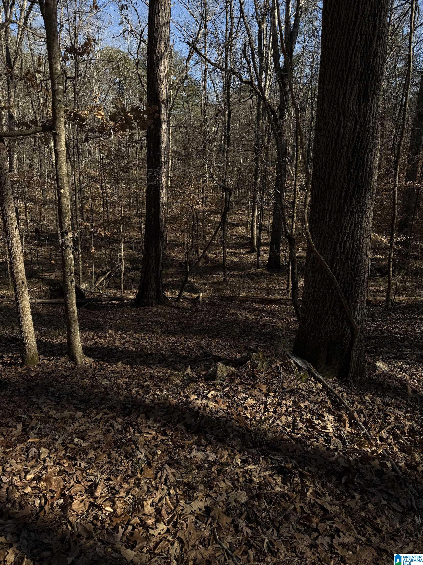 Homes for sale in Alabaster, AL | 3 Oakmont Dr, Alabaster, AL 35007 | MLS# 21410244